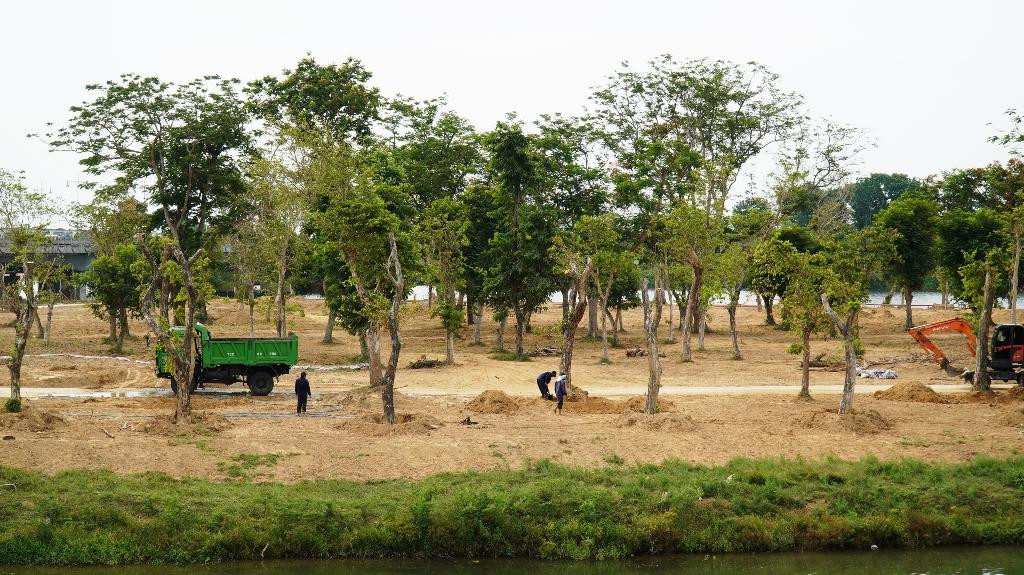 Xúc tiến chỉnh trang một phần không gian cồn Dã Viên.