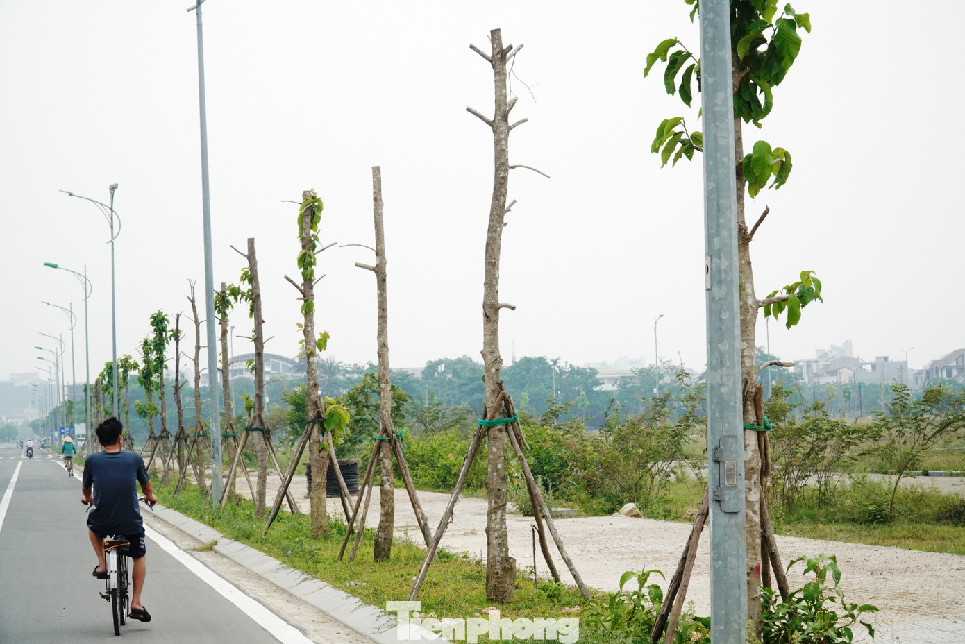 Tại các tuyến đường Tố Hữu, Võ Nguyên Giáp qua các phường An Đông, Xuân Phú (TP. Huế), cùng với việc đầu tư chỉnh trang nâng cấp mặt đường, vỉa hè, thoát nước, điện chiếu sáng…, chủ đầu tư còn cho thay thế, trồng mới hệ thống cây xanh, thảm cỏ trên dải phân cách rộng. Tại các tuyến đường Tố Hữu, Võ Nguyên Giáp qua các phường An Đông, Xuân Phú (TP. Huế), cùng với việc đầu tư chỉnh trang nâng cấp mặt đường, vỉa hè, thoát nước, điện chiếu sáng…, chủ đầu tư còn cho thay thế, trồng mới hệ thống cây xanh, thảm cỏ trên dải phân cách rộng.
