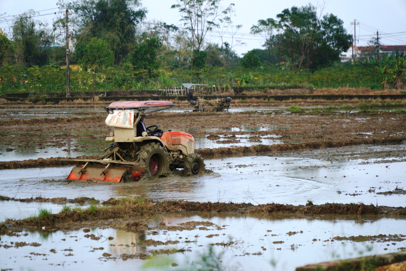 Nhiều máy cày được huy động để làm đất tại cánh đồng phường An Đông. Nhiều máy cày được huy động để làm đất tại cánh đồng phường An Đông.