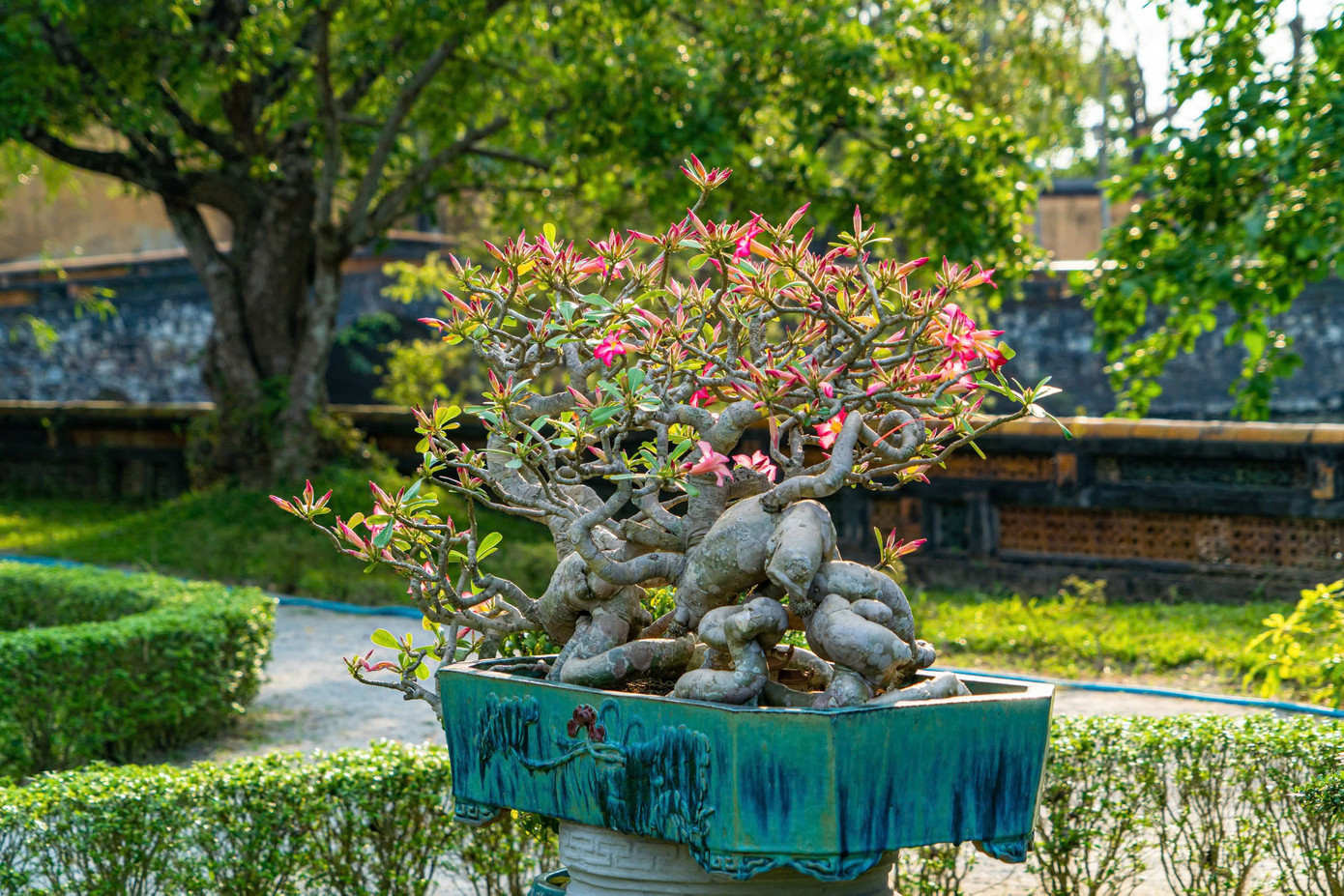 Triển lãm thu hút sự tham gia của hơn 600 nghệ nhân từ nhiều tỉnh, thành phố trên cả nước, với hơn 1.000 tác phẩm cây kiểng, hoa phong lan và đá cảnh mỹ thuật.