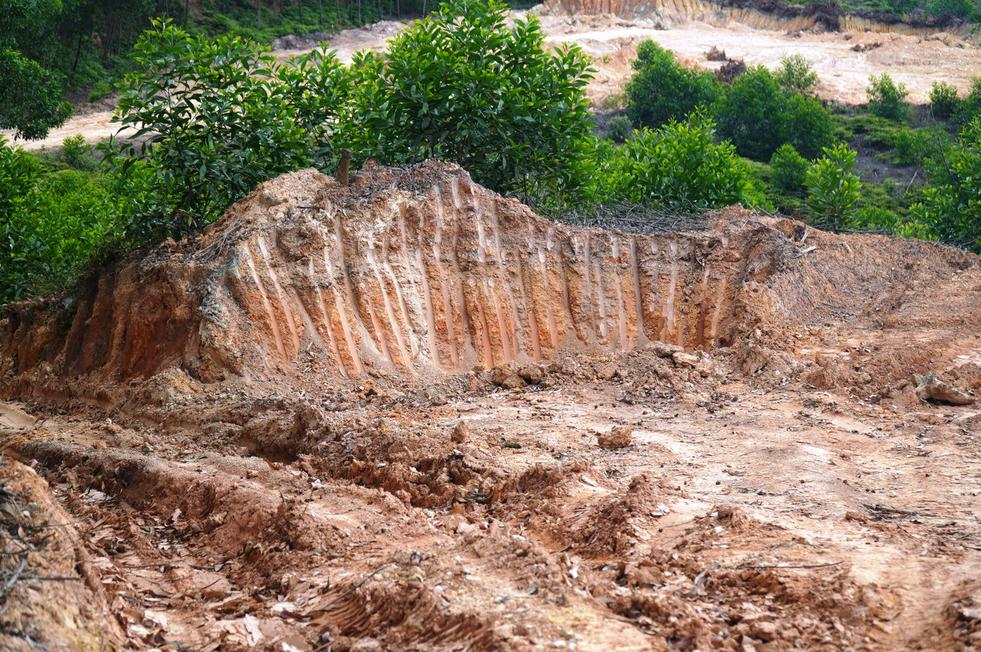 Hậu quả, nhiều quả đồi bị băm nát, đất đai trồng cây lâm nghiệp bị làm biến dạng, thay đổi hiện trạng. Hậu quả, nhiều quả đồi bị băm nát, đất đai trồng cây lâm nghiệp bị làm biến dạng, thay đổi hiện trạng.