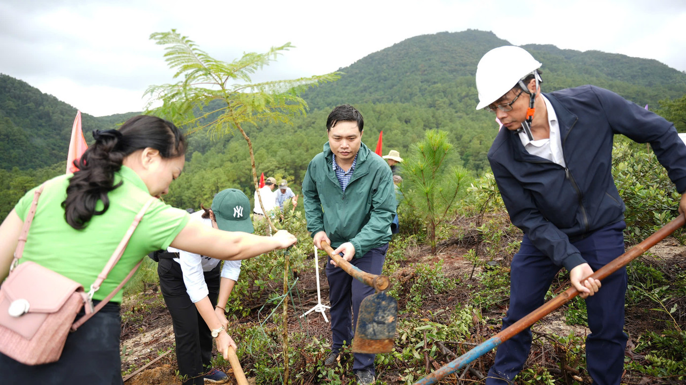 Hoạt động trồng cây xanh trên núi Kim Phụng nhân kỷ niệm 65 năm Ngày Lâm nghiệp Việt Nam.