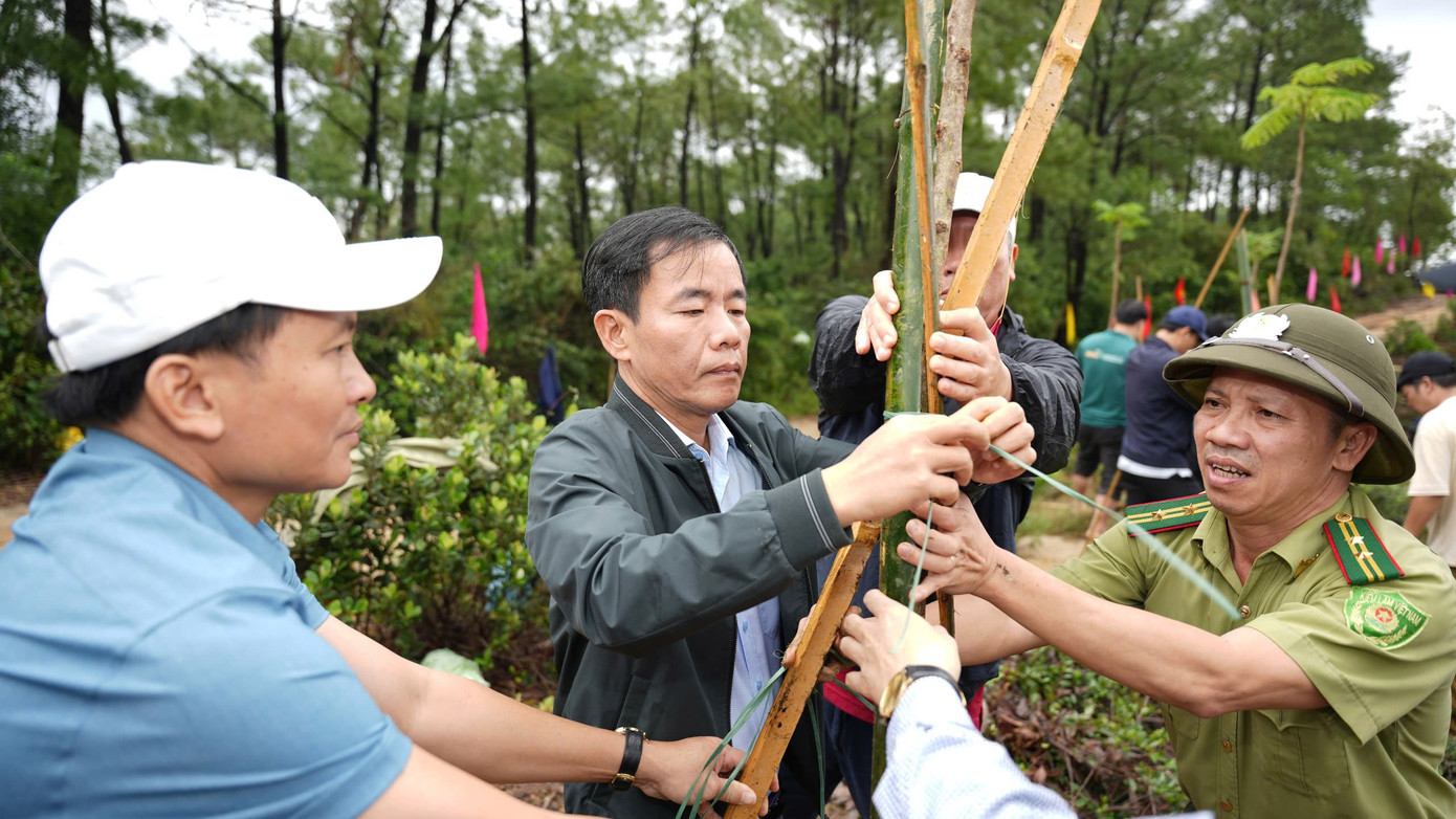 Chủ tịch UBND tỉnh TT-Huế Nguyễn Văn Phương (giữa) tham gia trồng cây tôn tạo cảnh quan núi Kim Phụng.