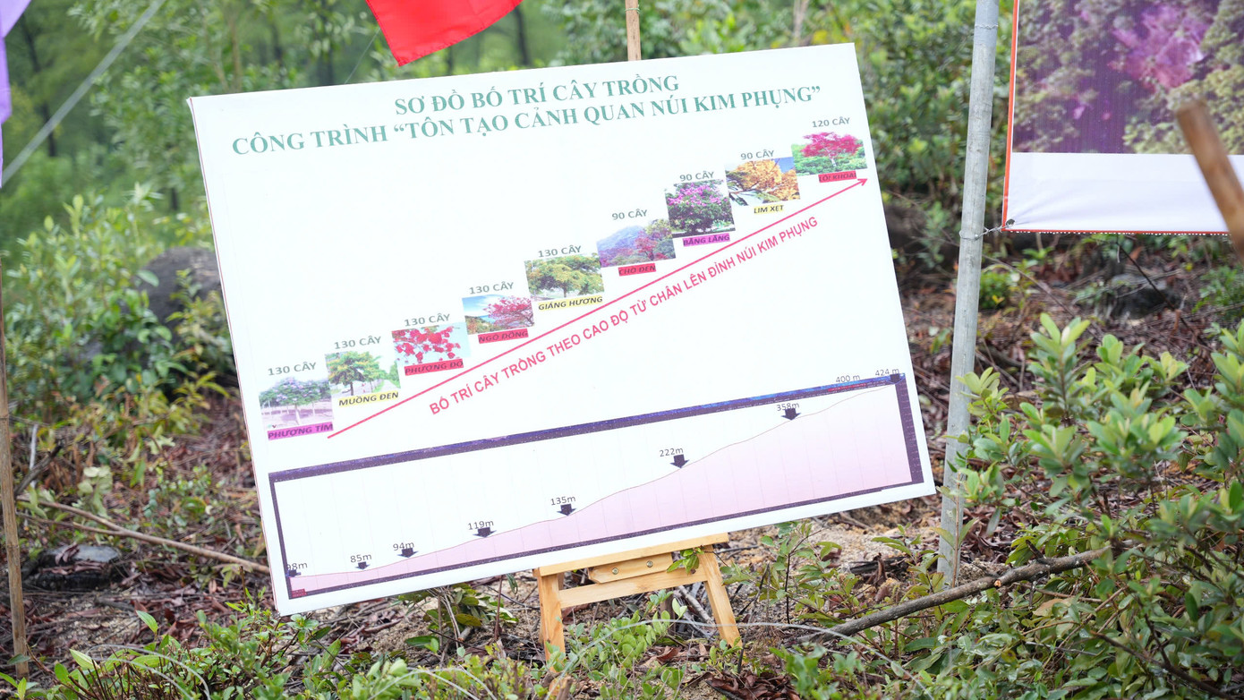 Hoạt động trồng cây tôn tạo cảnh quan núi Kim Phụng được kỳ vọng tạo điểm đến lý tưởng cho du khách khi tham quan, nghỉ dưỡng tại thành phố Huế.