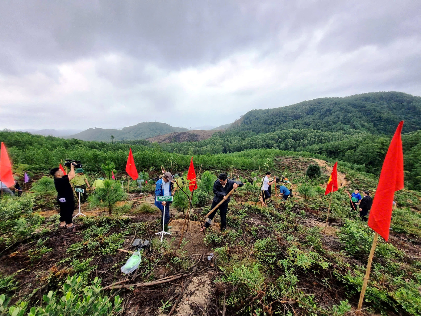 Hơn 1.000 cây xanh được trồng tại núi Kim Phụng - một danh sơn của xứ Huế.