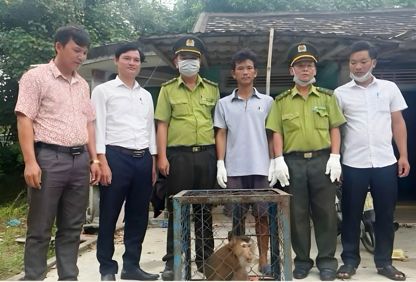 Tiếp nhận cá thể khỉ quý hiếm do người dân giao nộp. Tiếp nhận cá thể khỉ quý hiếm do người dân giao nộp.