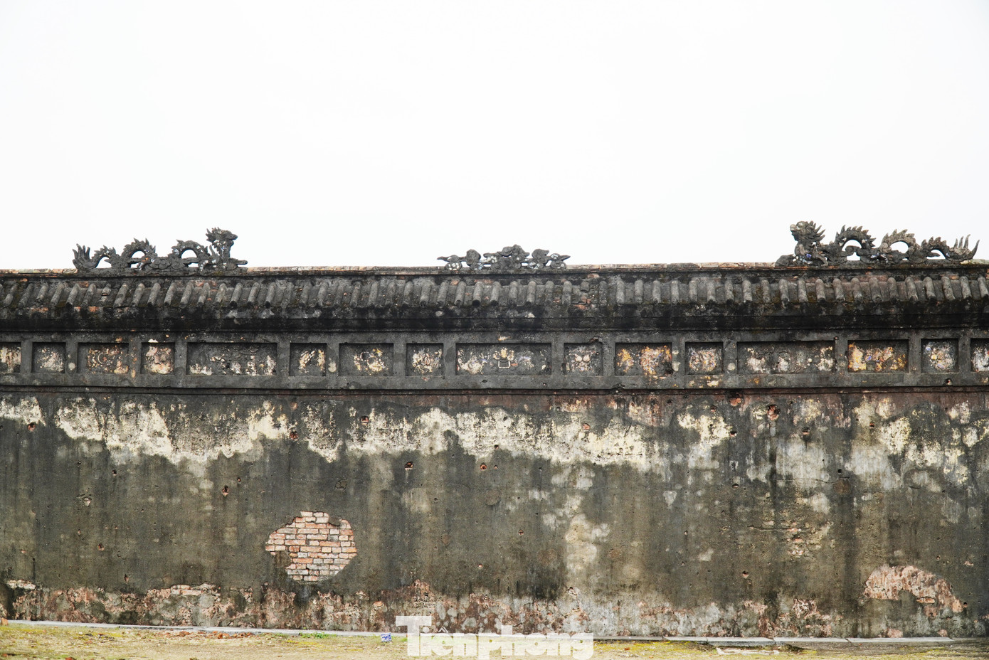 Một đôi rồng tạo nổi phủ màu thời gian trên một bức bình phong lớn phía sau lưng điện Thái Hòa.