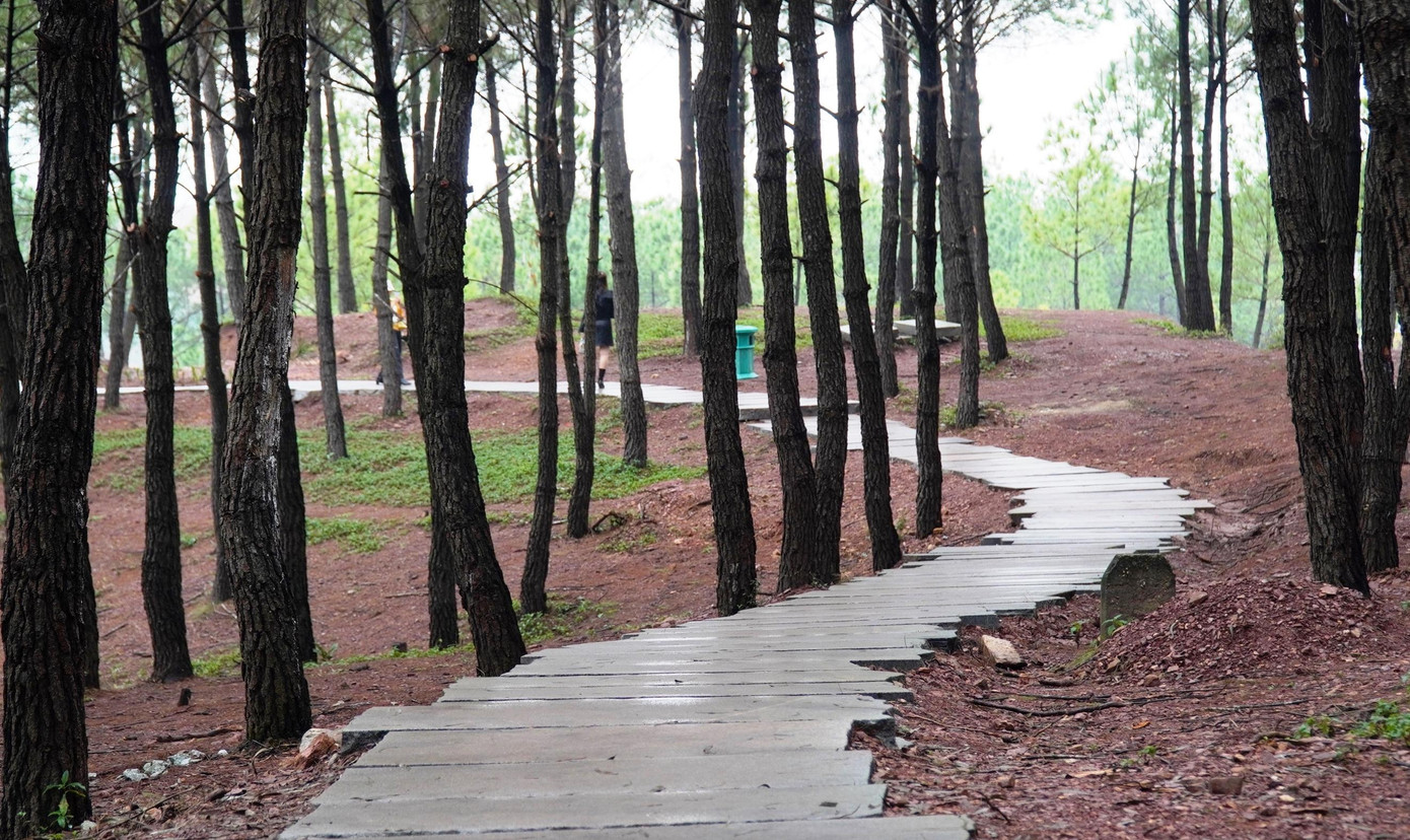 Tháng 5/2020, HĐND tỉnh TT-Huế đã thông qua dự án chỉnh trang đồi Vọng Cảnh (phường Thủy Xuân, TP Huế), với trị giá đầu tư 13 tỷ đồng.