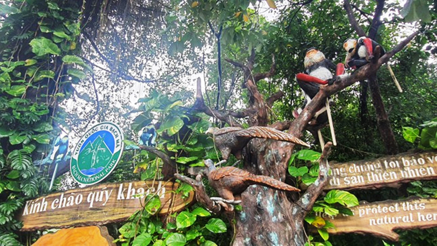 Trước nhu cầu của khách tham quan khi hoạt động du lịch trong nước từng bước phục hồi sau dịch bệnh COVID-19, Vườn Quốc gia Bạch Mã từng thí điểm đón một số đoàn leo núi, đi bộ theo tuyến đường độc đạo băng qua khu vực sạt lở để lên khám phá các khu sinh cảnh, suối thác và đỉnh cao nhất (1.450m) của ngọn núi. Tuy nhiên, do đoạn sạt lở trên tuyến đường chưa được khắc phục, việc đi bộ trên quãng đường dài dễ nảy sinh những vấn đề không mong muốn, Vườn Quốc gia Bạch Mã quyết định ngừng đón khách kể từ đầu tháng 5 vừa qua.