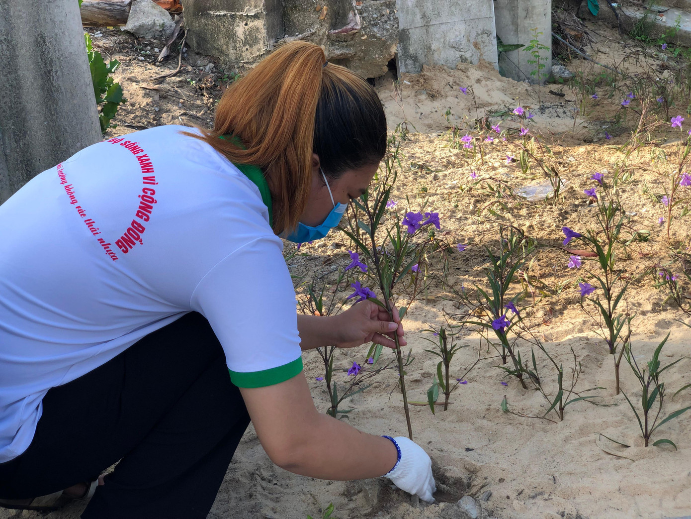 Trồng hoa làm đẹp tuyến đường Trồng hoa làm đẹp tuyến đường