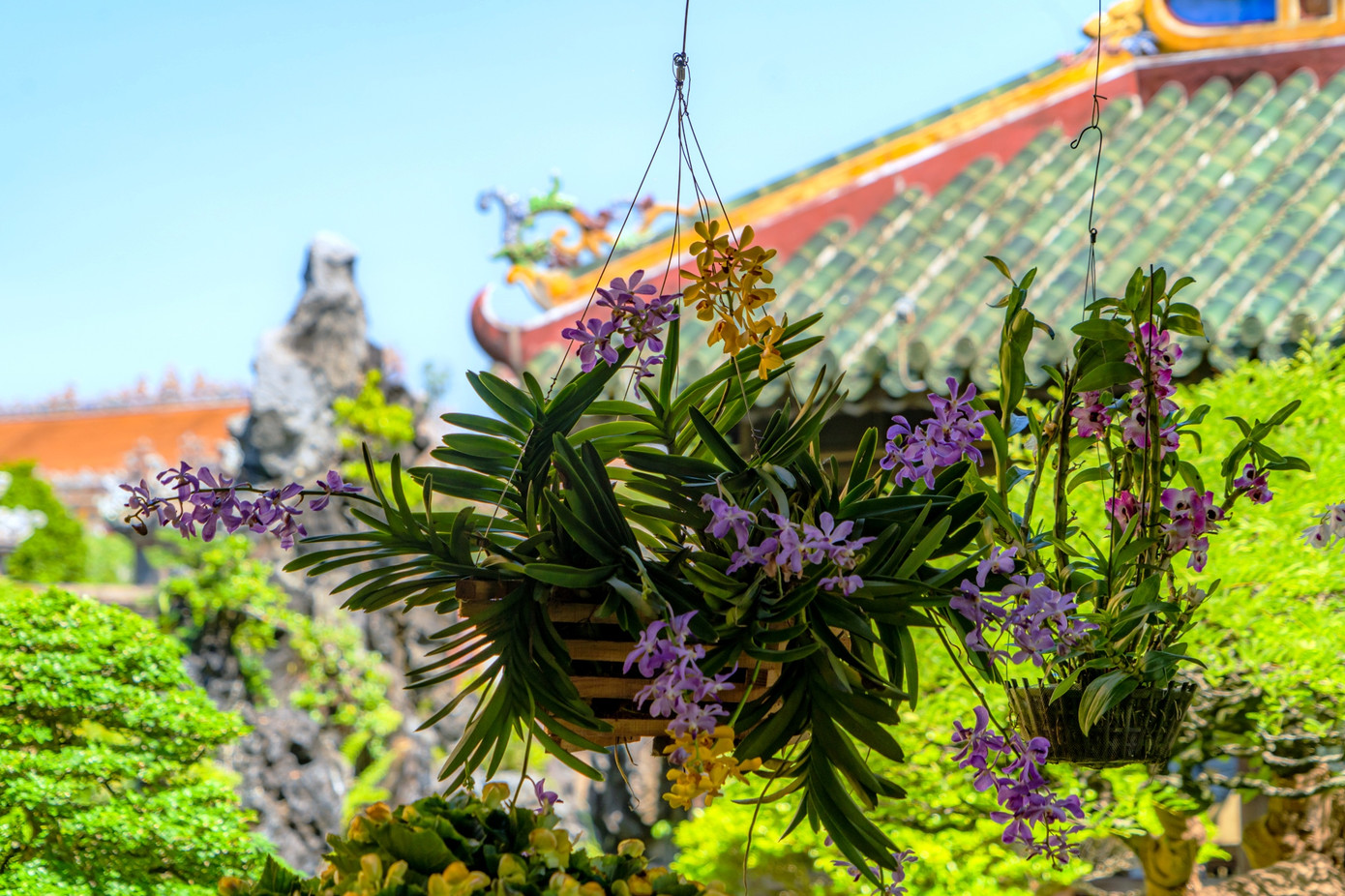 Cùng với đó là gần 500 tác phẩm hoa phong lan với 2 thể loại lan kiếm và lan tổng hợp. Cùng với đó là gần 500 tác phẩm hoa phong lan với 2 thể loại lan kiếm và lan tổng hợp.