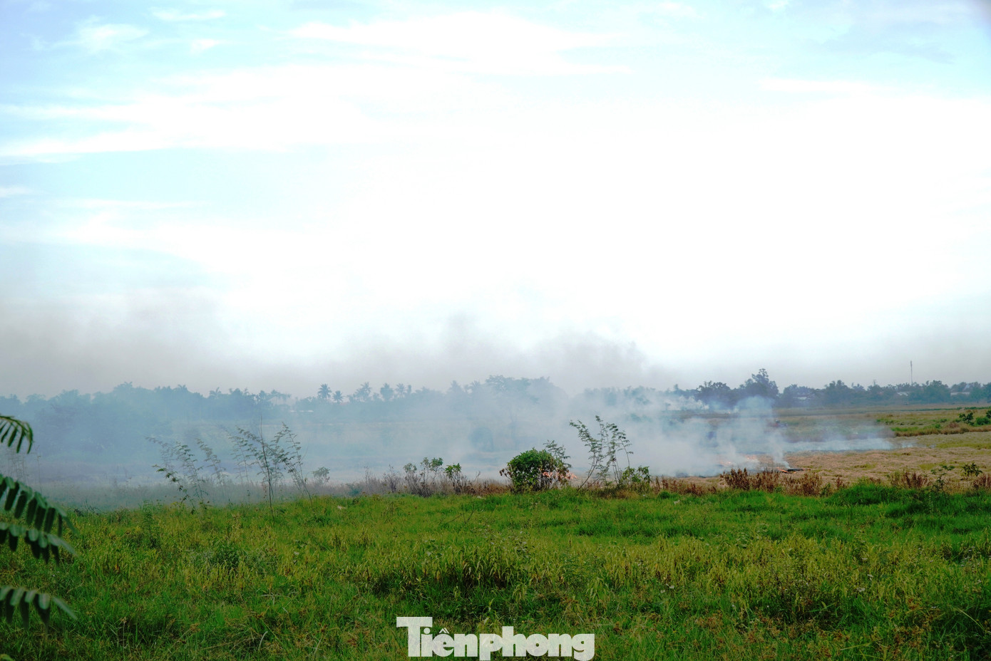 Bên cạnh đó, UBND phường Hương Chữ cũng phê bình tổ trưởng dân phố - nơi để xảy ra vấn nạn đốt đồng, vì không thực hiện nghiêm nhiệm vụ tuyên truyền, giám sát cộng đồng trong việc ngăn chặn tình trạng xử lý rơm rạ gây ô nhiễm môi trường sau thu hoạch lúa theo phân công. Bên cạnh đó, UBND phường Hương Chữ cũng phê bình tổ trưởng dân phố - nơi để xảy ra vấn nạn đốt đồng, vì không thực hiện nghiêm nhiệm vụ tuyên truyền, giám sát cộng đồng trong việc ngăn chặn tình trạng xử lý rơm rạ gây ô nhiễm môi trường sau thu hoạch lúa theo phân công.