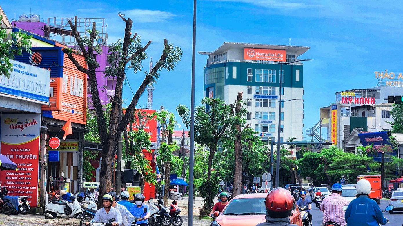 “Mới đầu mùa hè, chưa tới mùa mưa bão, thời tiết lại rất nắng nóng, cần bóng mát cây xanh để tạo sự hài hòa sinh thái đô thị, không hiểu sao, hàng loạt cây xanh trên tuyến đường này lại bị cắt ngọn, cưa cành trơ trụi đến như vậy”, anh Trần Đức - chủ kinh doanh nhà hàng tại phường Vĩ Dạ, thắc mắc. Ảnh: Ngọc Văn