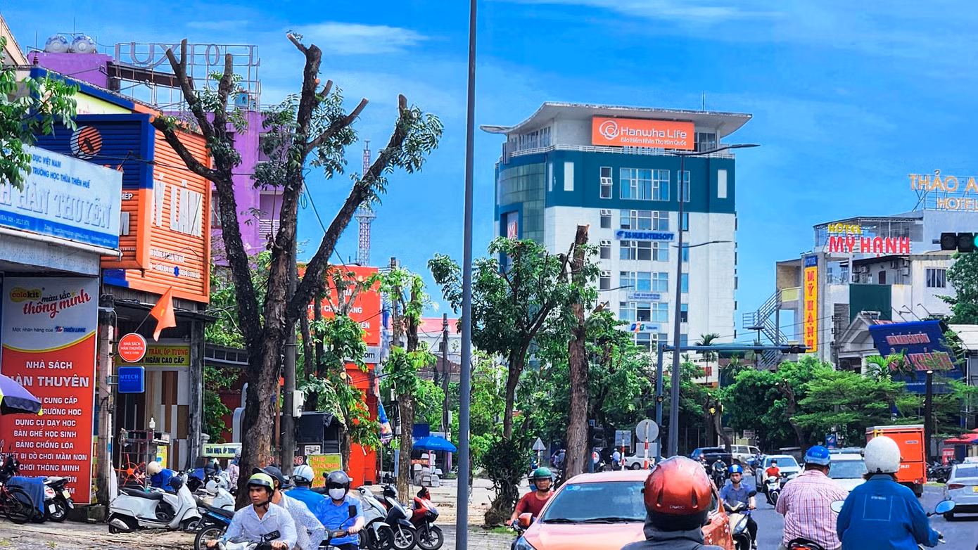“Mới đầu mùa hè, chưa tới mùa mưa bão, thời tiết lại rất nắng nóng, cần bóng mát cây xanh để tạo sự hài hòa sinh thái đô thị, không hiểu sao, hàng loạt cây xanh trên tuyến đường này lại bị cắt ngọn, cưa cành trơ trụi đến như vậy”, anh Trần Đức - chủ kinh doanh nhà hàng tại phường Vĩ Dạ, thắc mắc. Ảnh: Ngọc Văn “Mới đầu mùa hè, chưa tới mùa mưa bão, thời tiết lại rất nắng nóng, cần bóng mát cây xanh để tạo sự hài hòa sinh thái đô thị, không hiểu sao, hàng loạt cây xanh trên tuyến đường này lại bị cắt ngọn, cưa cành trơ trụi đến như vậy”, anh Trần Đức - chủ kinh doanh nhà hàng tại phường Vĩ Dạ, thắc mắc. Ảnh: Ngọc Văn