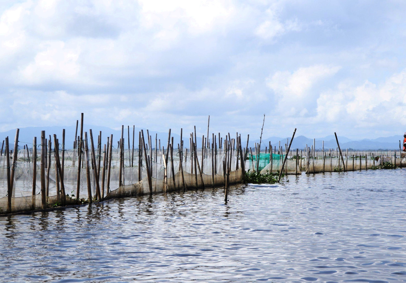 Theo UBND xã Vinh Hà, vùng mặt nước đầm phá thuộc địa bàn xã có 266 hộ dân chuyên nuôi, đánh bắt thủy sản theo hình thức vây lưới, với 285 trộ nò sáo, trên diện tích khoảng 419 ha. Trong đó, xã Vinh Hà có 214 hộ, các xã của huyện Phú Lộc có 52 hộ.