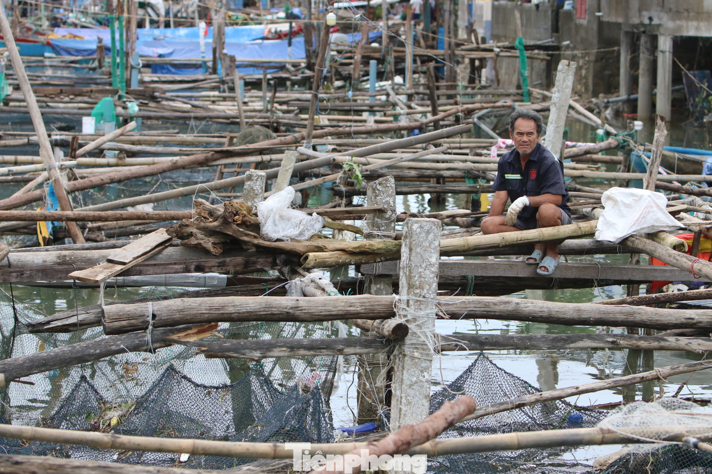 Khi bão số 6 quét qua, không chỉ nhà cửa, hàng quán của người dân ở trên cạn bị gió lớn tàn phá, xô sập, mà nhiều lồng bè nuôi cá đặc sản ở dưới đầm và vùng cửa biển cũng bị xé nát, cuốn trôi. Đáng lo hơn, trong những ngày gần đây, các lồng nuôi thủy sản còn sót lại từng vượt qua được gió bão lại chịu thêm thiệt hại mới. Cá nuôi lồng vùng nước mặn bị chết do ngạt, thiếu oxy khi rác thải theo mưa bão bủa vây xung quanh và cá chết do sốc ngọt.