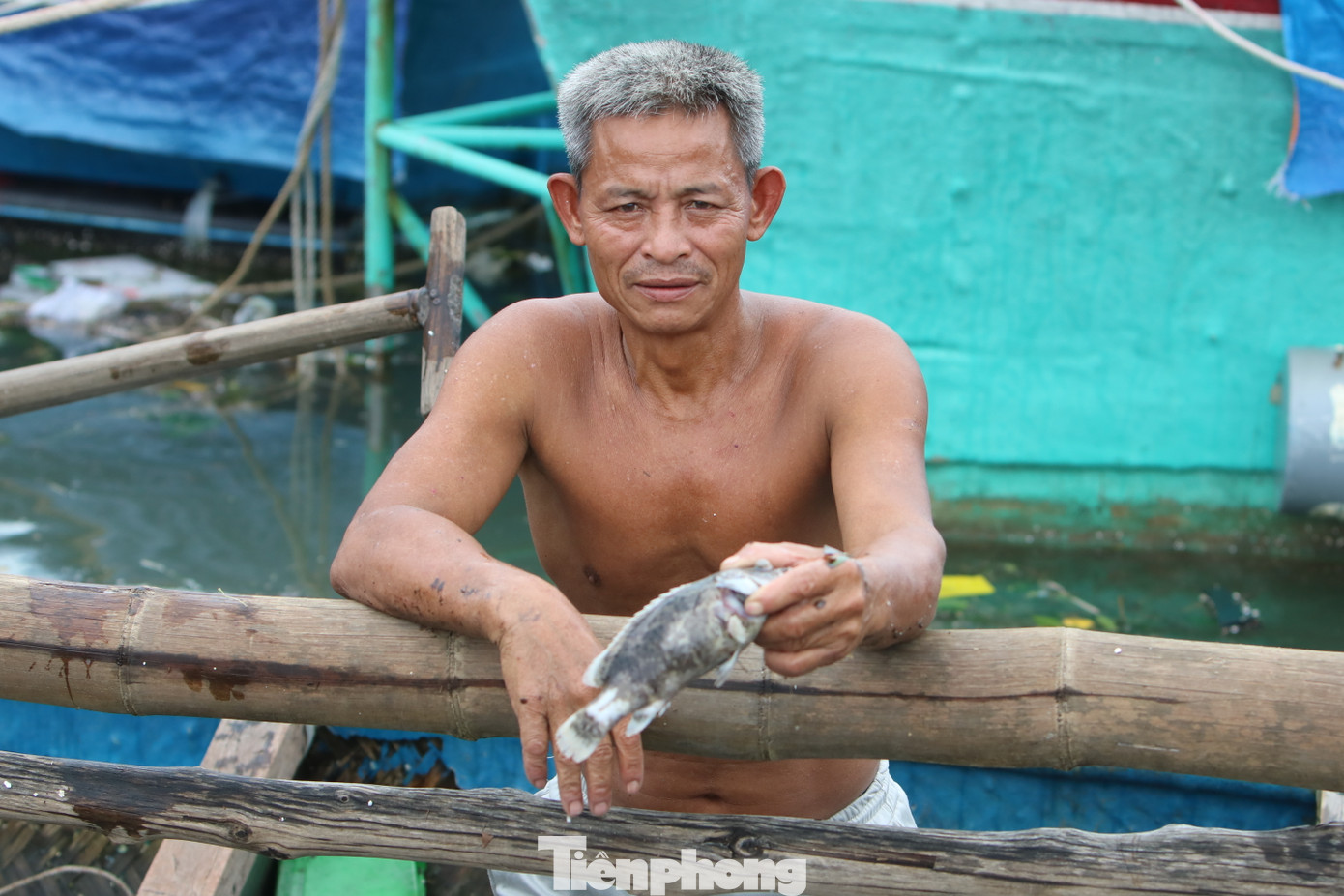 Khi bão số 6 quét qua, không chỉ nhà cửa, hàng quán của người dân ở trên cạn bị gió lớn tàn phá, xô sập, mà nhiều lồng bè nuôi cá đặc sản ở dưới đầm và vùng cửa biển cũng bị xé nát, cuốn trôi. Đáng lo hơn, trong những ngày gần đây, các lồng nuôi thủy sản còn sót lại từng vượt qua được gió bão lại chịu thêm thiệt hại mới. Cá nuôi lồng vùng nước mặn bị chết do ngạt, thiếu oxy khi rác thải theo mưa bão bủa vây xung quanh và cá chết do sốc ngọt.