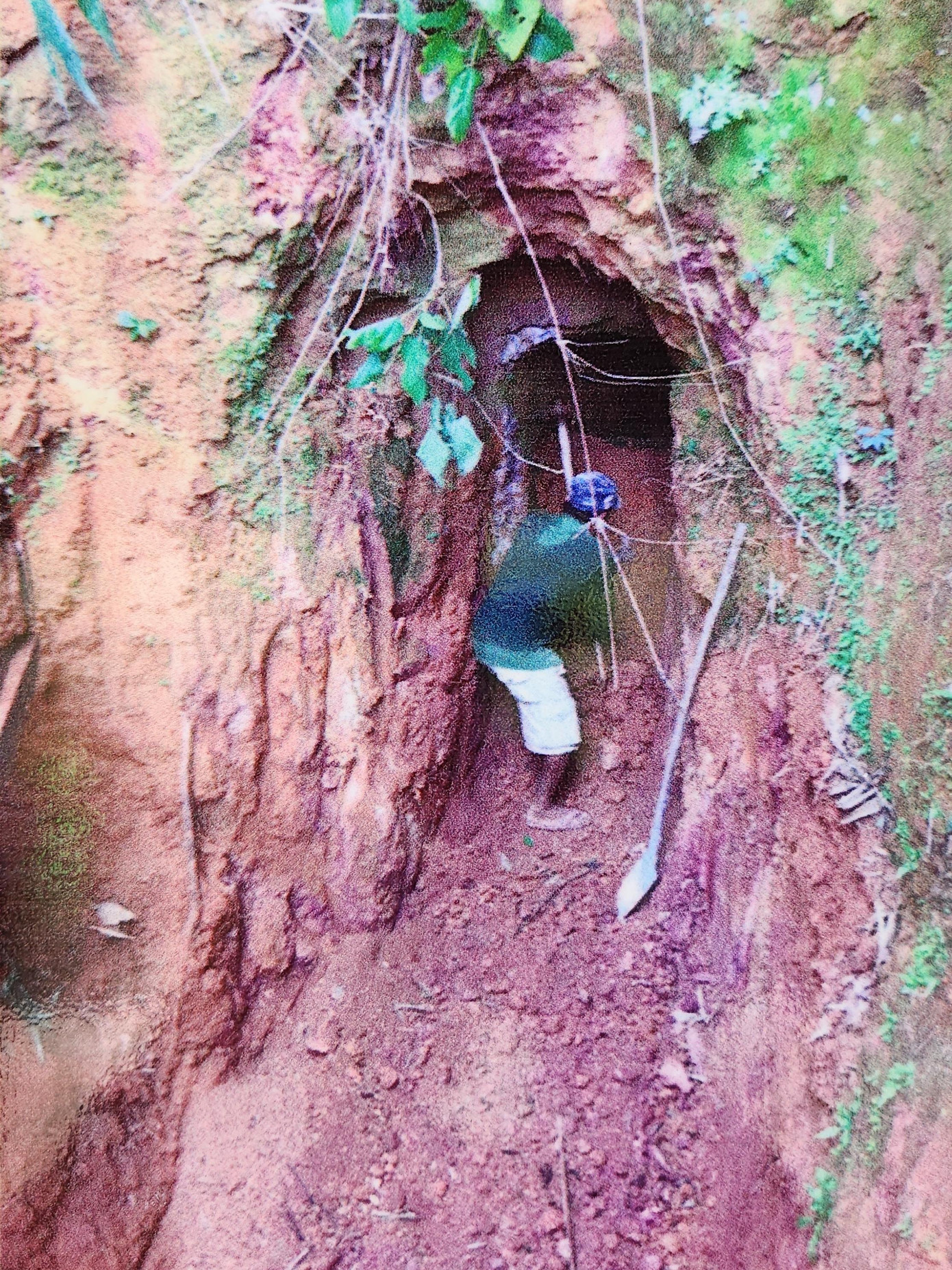 Trải qua thời gian tồn tại, dưới tác động của thiên nhiên, một số cửa địa đạo đã bị vùi lấp. Trong ảnh là hoạt động khai mở lối vào địa đạo bị vùi lấp. (Ảnh TL) Trải qua thời gian tồn tại, dưới tác động của thiên nhiên, một số cửa địa đạo đã bị vùi lấp. Trong ảnh là hoạt động khai mở lối vào địa đạo bị vùi lấp. (Ảnh TL)