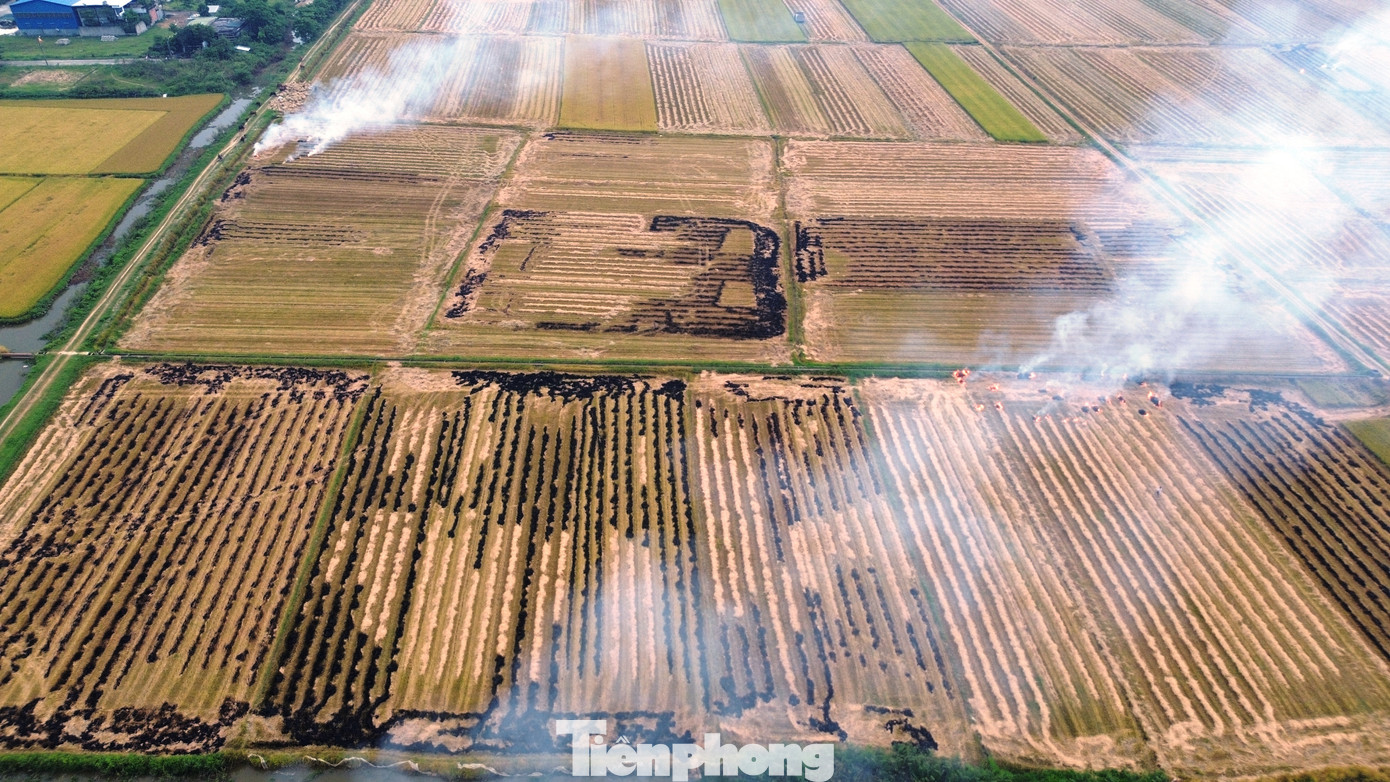 Tuy nhiên, theo khuyến cáo của Chi cục Bảo vệ môi trường và Sở Nông nghiệp & Môi trường TP Huế, lợi ích trước mắt này không thể bù đắp cho những hậu quả lâu dài. Khói bụi, sức nóng từ việc đốt rơm không chỉ gây ô nhiễm không khí, ảnh hưởng đến sức khỏe cộng đồng mà còn làm suy giảm chất lượng đất nông nghiệp. Rơm bị đốt gây lãng phí nguồn hữu cơ quý giá có thể tái chế làm phân bón. Tuy nhiên, theo khuyến cáo của Chi cục Bảo vệ môi trường và Sở Nông nghiệp & Môi trường TP Huế, lợi ích trước mắt này không thể bù đắp cho những hậu quả lâu dài. Khói bụi, sức nóng từ việc đốt rơm không chỉ gây ô nhiễm không khí, ảnh hưởng đến sức khỏe cộng đồng mà còn làm suy giảm chất lượng đất nông nghiệp. Rơm bị đốt gây lãng phí nguồn hữu cơ quý giá có thể tái chế làm phân bón.