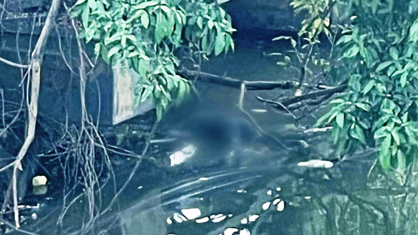 Thi thể nam thanh niên được người dân phát hiện ở chân cầu Chợ Dinh, TP Huế. Ảnh: C.Định Thi thể nam thanh niên được người dân phát hiện ở chân cầu Chợ Dinh, TP Huế. Ảnh: C.Định