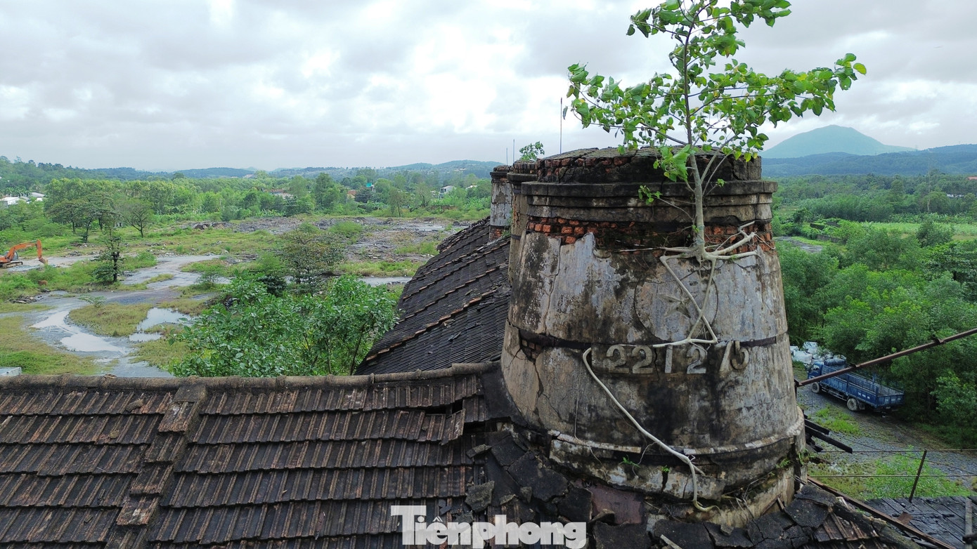 Tại đây, ông Phan Ngọc Thọ còn yêu cầu, những gì thuộc yếu tố lịch sử cần được xem xét thận trọng để nghiên cứu bảo tồn, phát huy giá trị của nhà máy xi măng có tuổi đời hơn 100 năm - một dấu tích lịch sử về thời phát triển công nghiệp sơ khai của địa phương. UBND TP. Huế hiện được giao trách nhiệm lên phương án chỉnh trang, cải tạo công trình hệ 5 lò vôi gắn với tháp chuyển vật liệu nhằm phục vụ phát triển du lịch, giáo dục thế hệ trẻ, phát huy giá trị lịch sử…