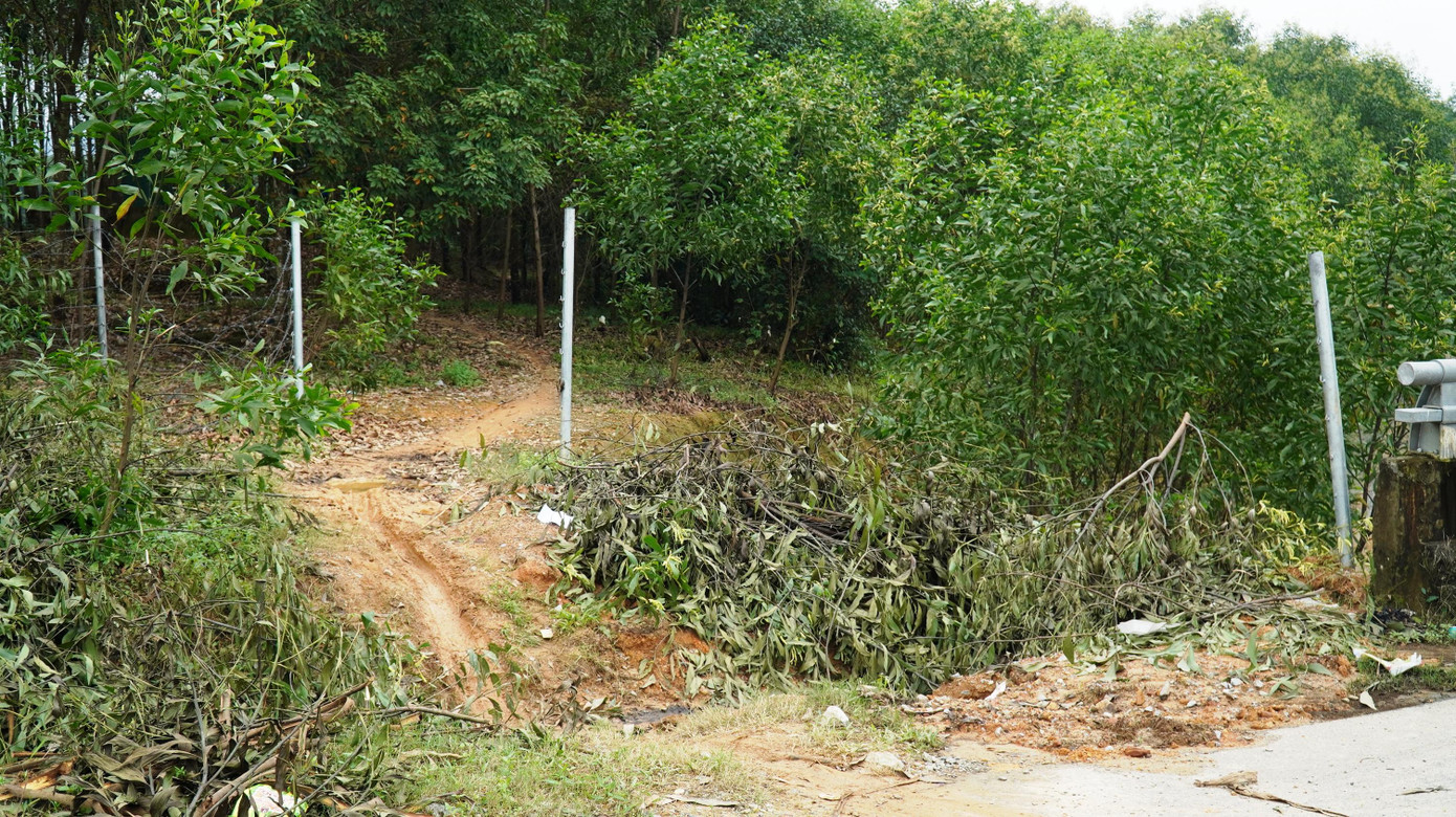 Kiểm tra thực tế mới đây trên tuyến cao tốc đoạn La Sơn - Túy Loan qua địa bàn hai huyện Phú Lộc và Nam Đông, ông Hoàng Hải Minh, Phó chủ tịch UBND tỉnh TT-Huế, đã chỉ một số vấn đề về bảo đảm an toàn giao thông; đồng thời, lưu ý về các vị trí hàng rào bảo vệ vẫn chưa được thi công, một số nơi hàng rào vẫn chưa được đóng lại.