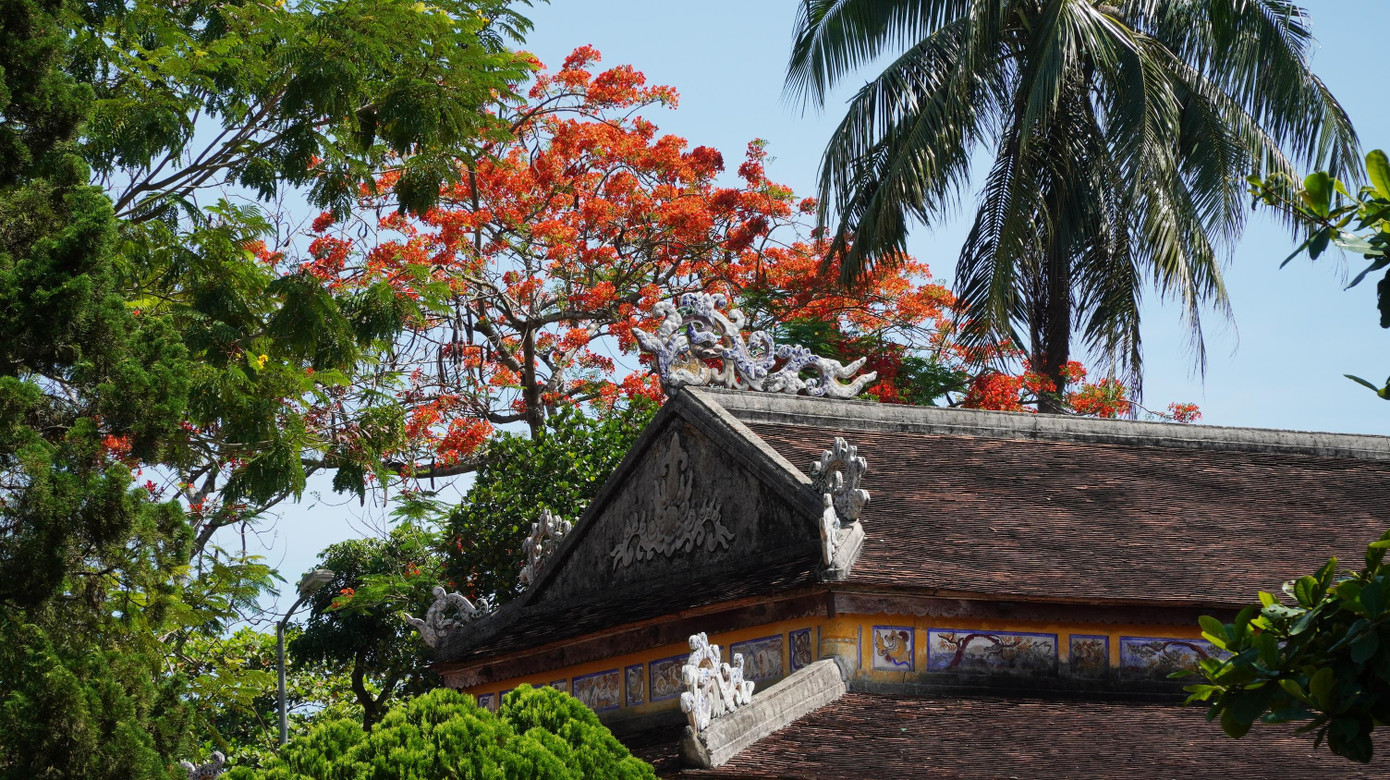 Cũng từ đây, một ý tưởng mới để khai thác, sử dụng Quốc Tử giám vào mục đích tôn vinh, đề cao sự học cũng đã được đặt ra. Theo đó, tại đây sẽ hình thành một bảo tàng giáo dục khoa cử.
