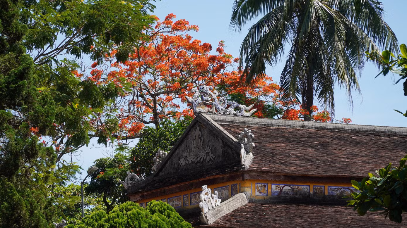 Cũng từ đây, một ý tưởng mới để khai thác, sử dụng Quốc Tử giám vào mục đích tôn vinh, đề cao sự học cũng đã được đặt ra. Theo đó, tại đây sẽ hình thành một bảo tàng giáo dục khoa cử.