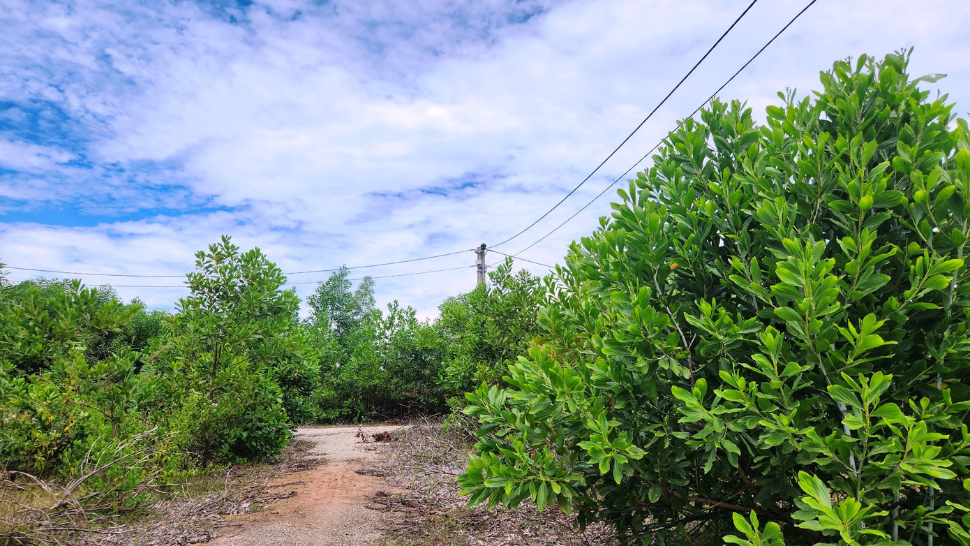 Năm 2016, UBND thị xã Hương Thủy giao UBND phường Thủy Châu làm chủ đầu tư Dự án hạ tầng kỹ thuật khu quy hoạch tập trung kinh doanh phế liệu, với tổng mức kinh phí thực hiện là 3,155 tỷ đồng.