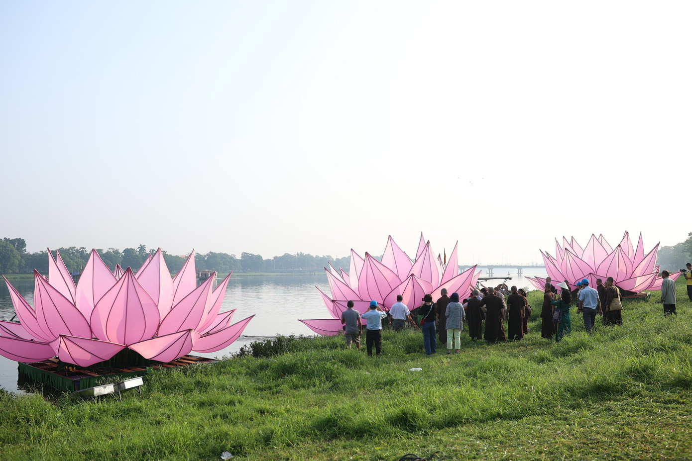 Đây là một trong những hoạt động hưởng ứng Tuần lễ Phật đản PL 2568 tại TT-Huế.