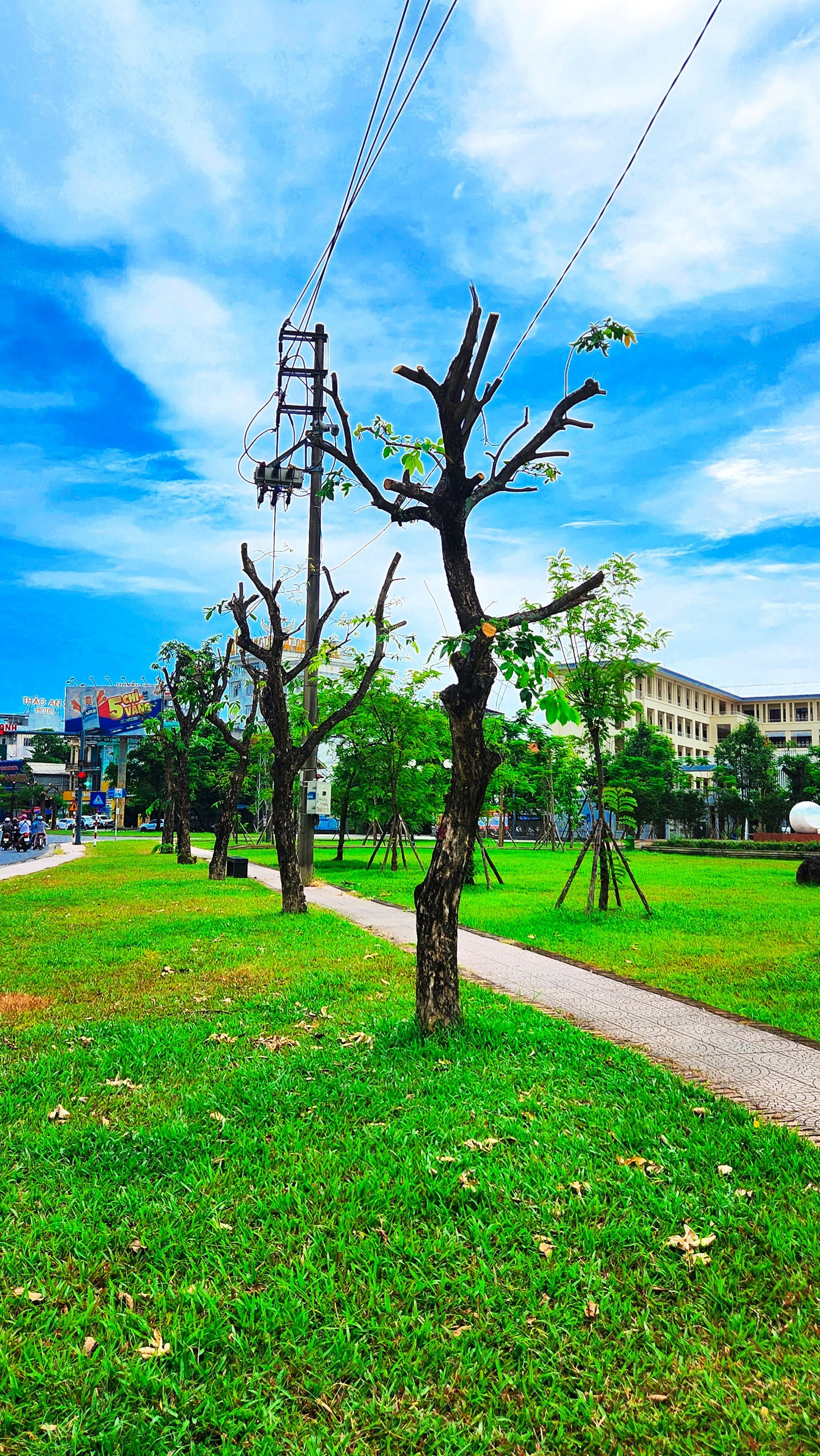 “Việc tỉa cành, di dời cây vào mùa hè là bất khả kháng nhằm phục vụ dự án cải thiện môi trường nước, với những hạng mục công trình ngầm dưới lòng đất, phù hợp triển khai trong điều kiện thời tiết khô ráo. Nếu di chuyển cây vào mùa mưa thì công trình xây dựng ngầm dưới đất thuộc dự án môi trường nước không thể thực hiện được. Việc di chuyển bảo đảm không làm chết, tổn hại cây xanh sau này”, ông Chinh cho biết. Ảnh: Ngọc Văn