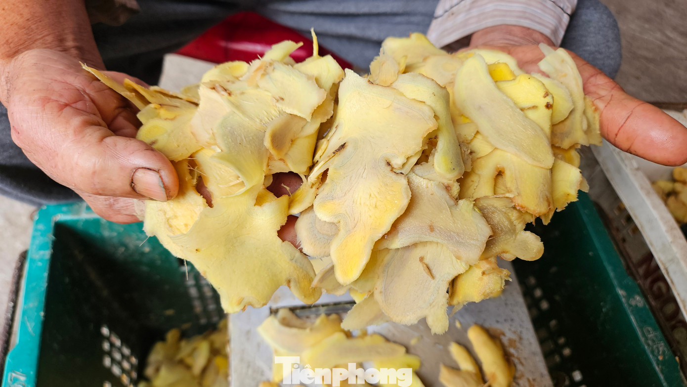 Củ gừng tươi nguyên liệu để làm mứt Tết được rửa sạch, thái mỏng đều tay, sau đó ngâm qua nước chanh để giảm bớt độ cay. Tiếp theo, gừng được sên trộn với đường cát trắng theo tỷ lệ phù hợp đun trên bếp lửa cháy liu riu, đòi hỏi sự khéo léo và kiên nhẫn của người làm. Thành phẩm là những lát mứt gừng vàng óng, thơm phức, ngọt dịu mà vẫn giữ được chút cay nhẹ đặc trưng. Củ gừng tươi nguyên liệu để làm mứt Tết được rửa sạch, thái mỏng đều tay, sau đó ngâm qua nước chanh để giảm bớt độ cay. Tiếp theo, gừng được sên trộn với đường cát trắng theo tỷ lệ phù hợp đun trên bếp lửa cháy liu riu, đòi hỏi sự khéo léo và kiên nhẫn của người làm. Thành phẩm là những lát mứt gừng vàng óng, thơm phức, ngọt dịu mà vẫn giữ được chút cay nhẹ đặc trưng.