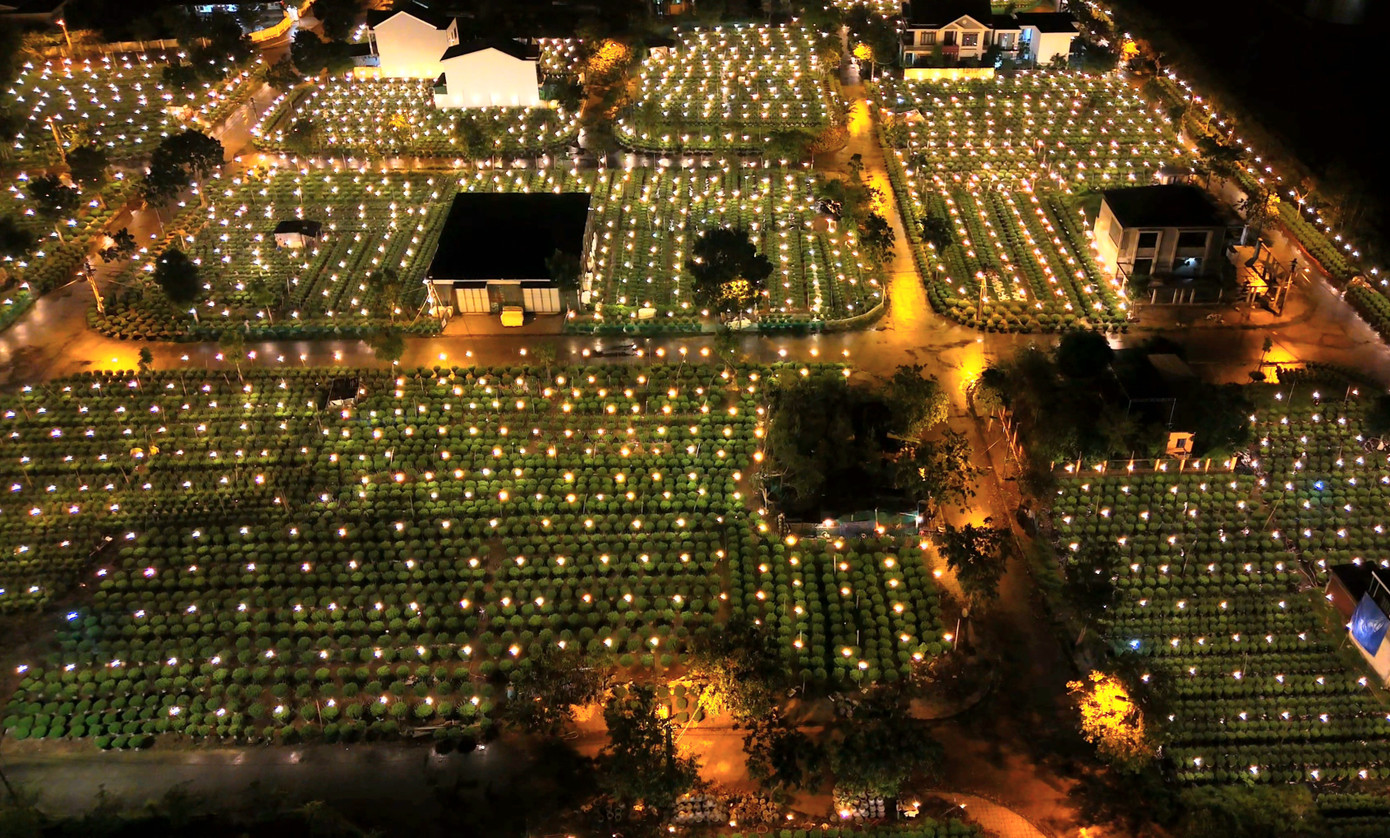 Bà Trần Hoa (chủ vườn hoa ở thôn Vân Thê, xã Thủy Thanh) cho biết, chuẩn bị cho vụ hoa Tết năm nay, người dân bắt đầu xuống giống từ tháng 6 âm lịch. Sau đó, hoa được kích sáng suốt đêm bằng đèn điện để giúp cây phát triển liên tục và kiểm soát được thời điểm ra hoa. Cuối tháng 11 đầu tháng 12, nông dân tiến hành tỉa nụ để hoa nở đều, đẹp hơn. “Năm nay vườn hoa nhà tôi trồng giống hoa mới là cúc Đà Lạt. Với thời tiết thuận lợi, cây phát triển tốt, hứa hẹn sẽ đem lại những sản phẩm đẹp cho người chơi hoa”, bà Hoa kỳ vọng.