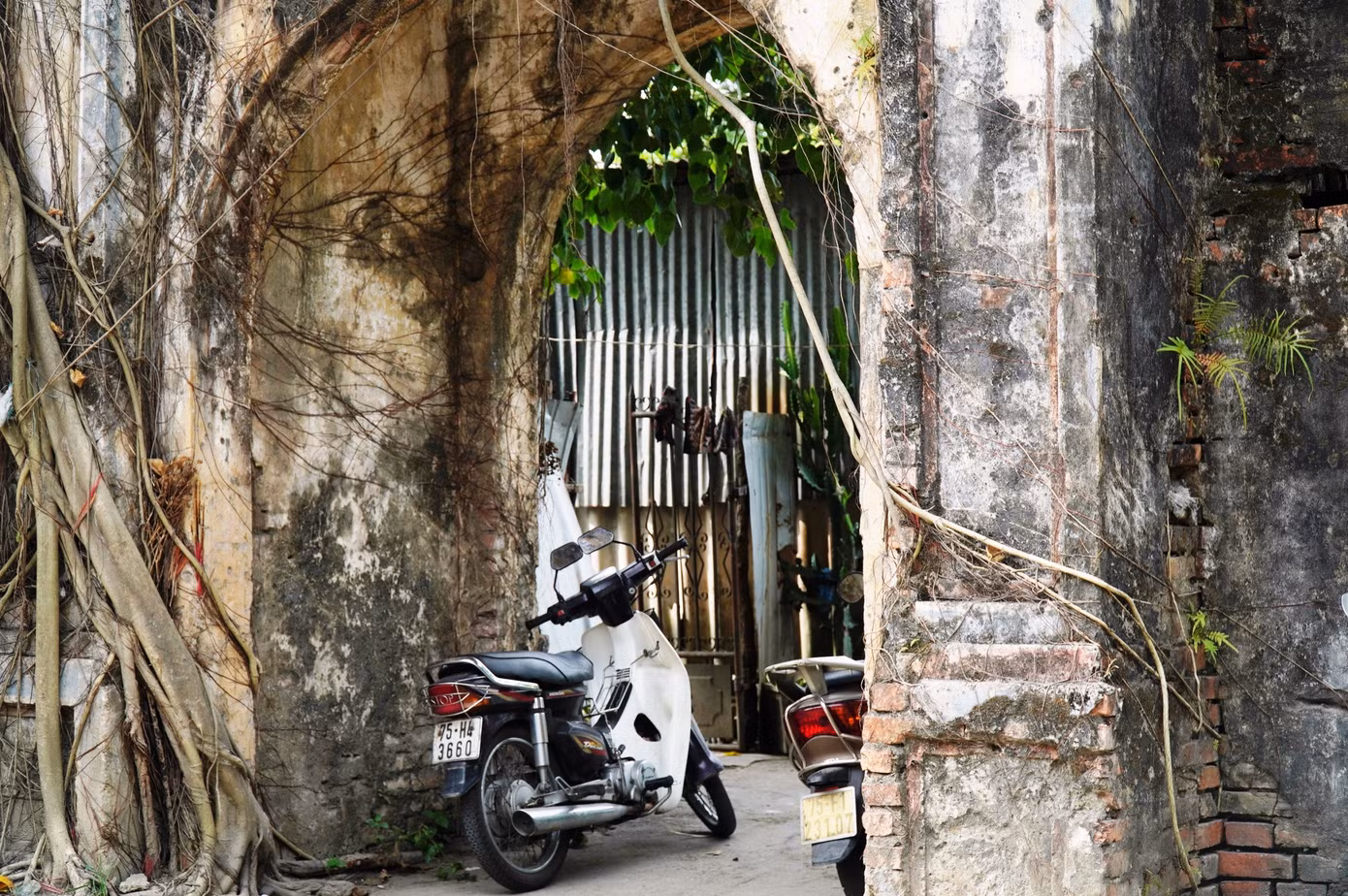 "Hiện nay, Trung tâm đang thống kê các hộ dân sống trong An Lăng, đề xuất giải pháp di dời khỏi di tích trong thời gian tới", ông Trung nói. Còn theo ông Võ Lê Nhật - Chủ tịch UBND TP Huế, trên địa bàn hiện mới thực hiện di dời người dân ở vùng di tích Thượng thành, Eo bầu thuộc Kinh thành Huế, còn đối với các hộ dân hiện sinh sống trong khuôn viên khu An Lăng vẫn chưa có dự án di dời, tái định cư.