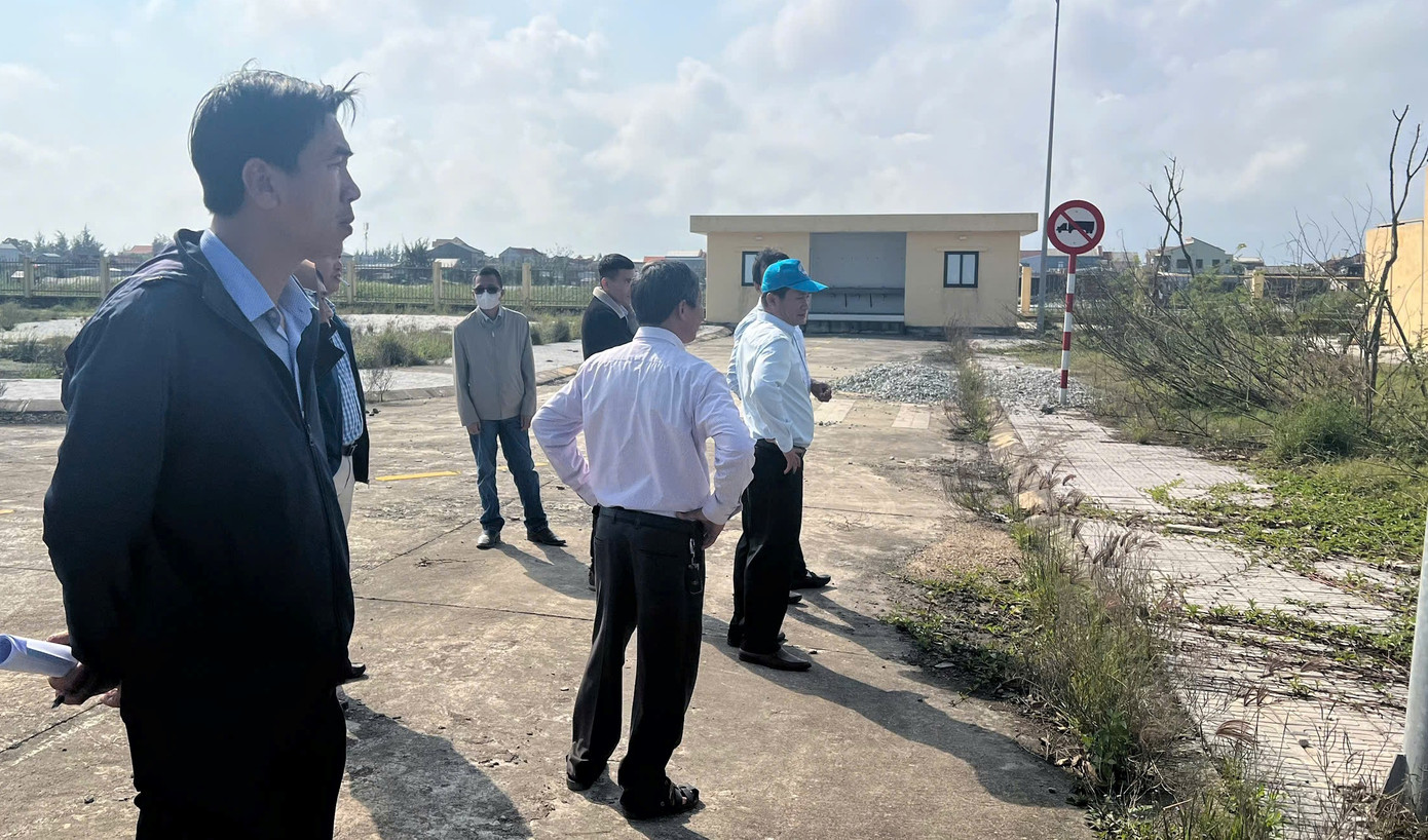 Nhiều cây xanh trong khu cảng mới đã bị khô chết.