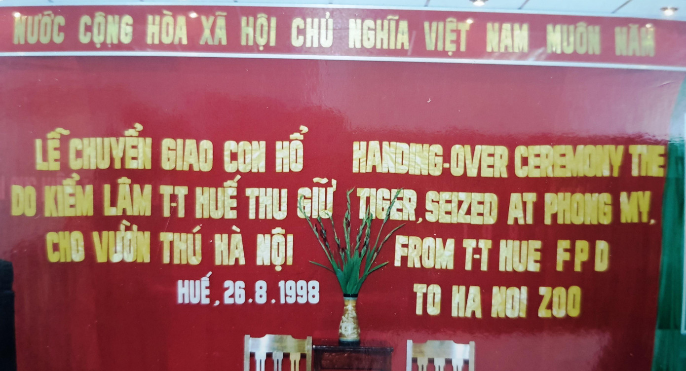 Tổ chức WWF đã làm trung gian hỗ trợ cho việc chuyển giao hổ con giải cứu tại TT-Huế về nuôi tại Vườn thú Hà Nội (ảnh tư liệu N.Đ.A.T) Tổ chức WWF đã làm trung gian hỗ trợ cho việc chuyển giao hổ con giải cứu tại TT-Huế về nuôi tại Vườn thú Hà Nội (ảnh tư liệu N.Đ.A.T)