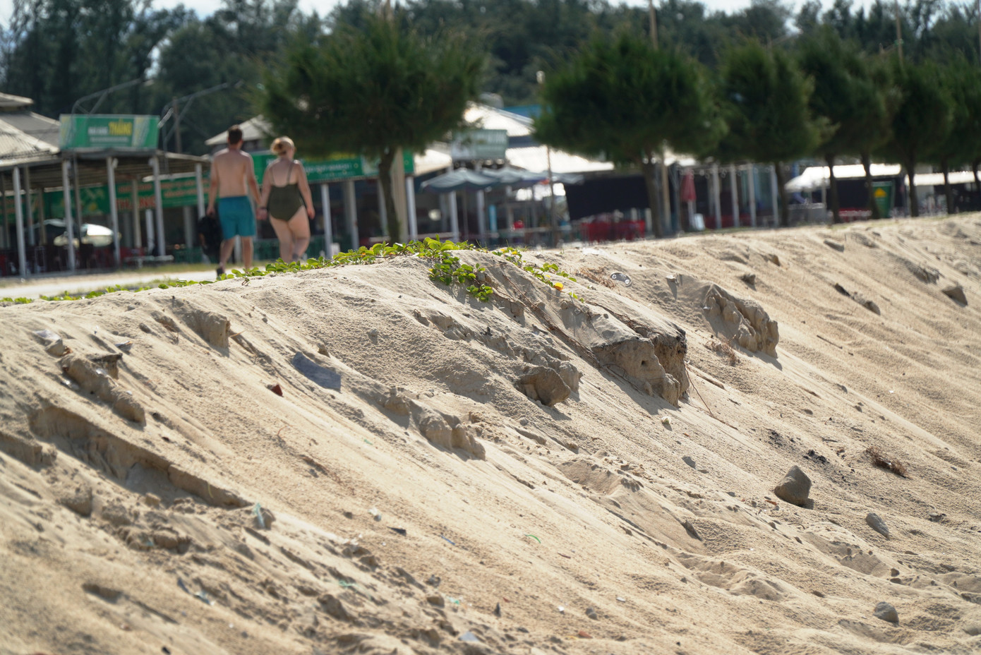 Ngoài ra, nạn sạt lở còn xảy ra ở các khu vực khác của xã Phú Thuận như đoạn từ thôn Tân An đến Xuân An, với chiều dài 1.420m, ăn sâu vào đất liền 20-30m; đoạn bờ biển giáp ranh xã Phú Hải bị sóng xâm thực trên chiều dài 180m, ăn sâu vào đất liền từ 20-30m.