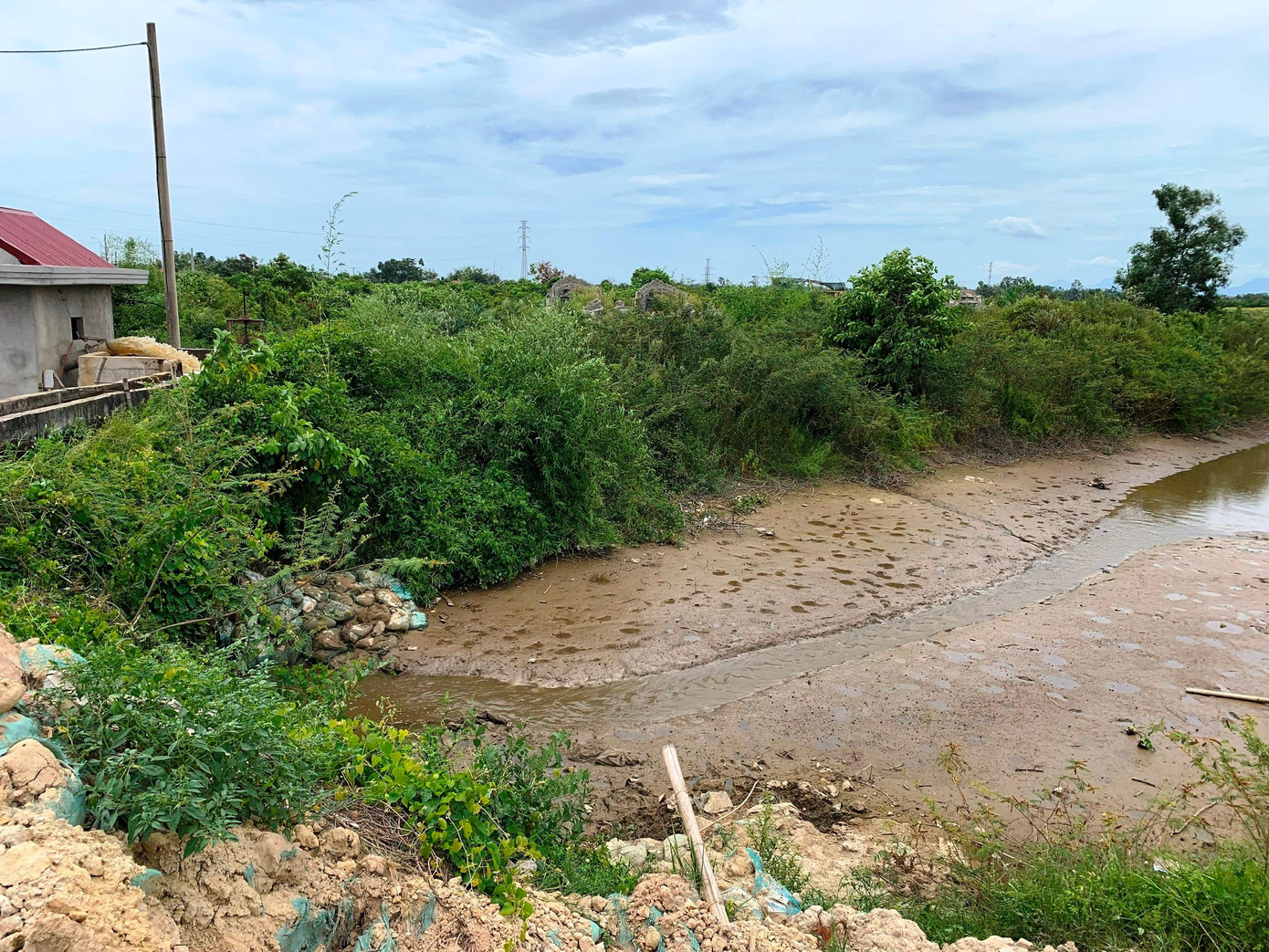 Huế nắng nóng kỷ lục, dân chắt gạn từng khối nước cứu lúa ảnh 2