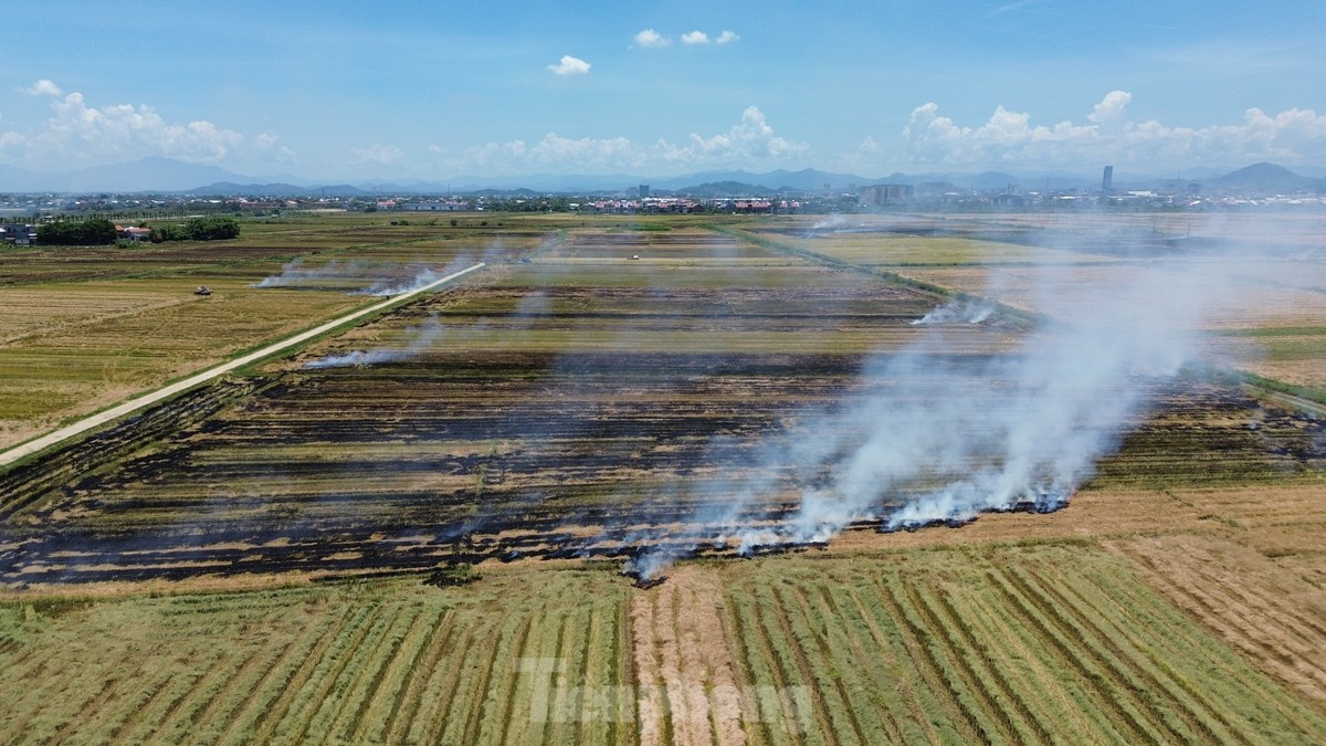 Các lực lượng chức năng tại Huế được yêu cầu tăng cường kiểm tra, bám địa bàn và xử phạt nghiêm các trường hợp vi phạm về đốt rơm rạ gây ô nhiễm môi trường. Các lực lượng chức năng tại Huế được yêu cầu tăng cường kiểm tra, bám địa bàn và xử phạt nghiêm các trường hợp vi phạm về đốt rơm rạ gây ô nhiễm môi trường.