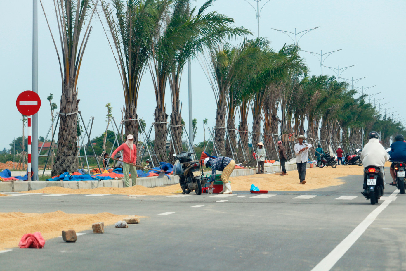 Trên tuyến đường mới cũng không hề đặt biển cảnh báo cấm phơi lúa, cấm chiếm dụng lòng đường làm nơi đỗ xe máy, cấm họp chợ gây mất an toàn giao thông.