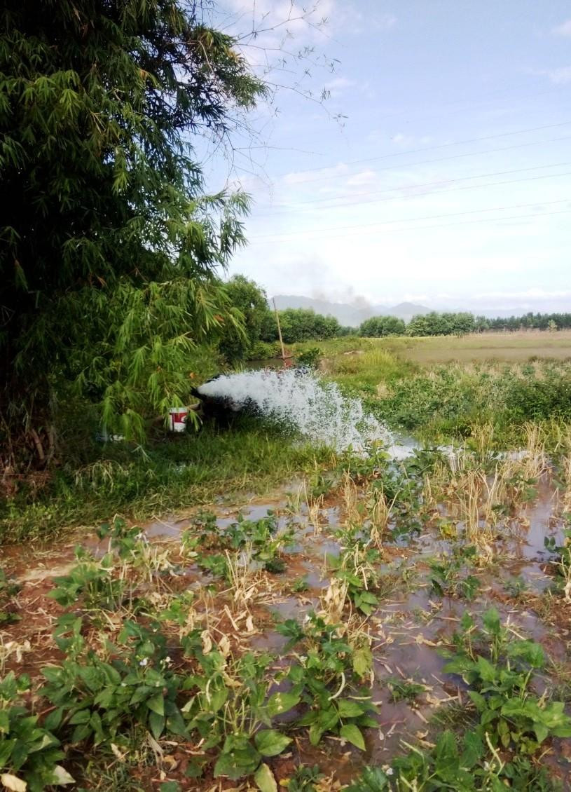 Huế nắng nóng kỷ lục, dân chắt gạn từng khối nước cứu lúa ảnh 5