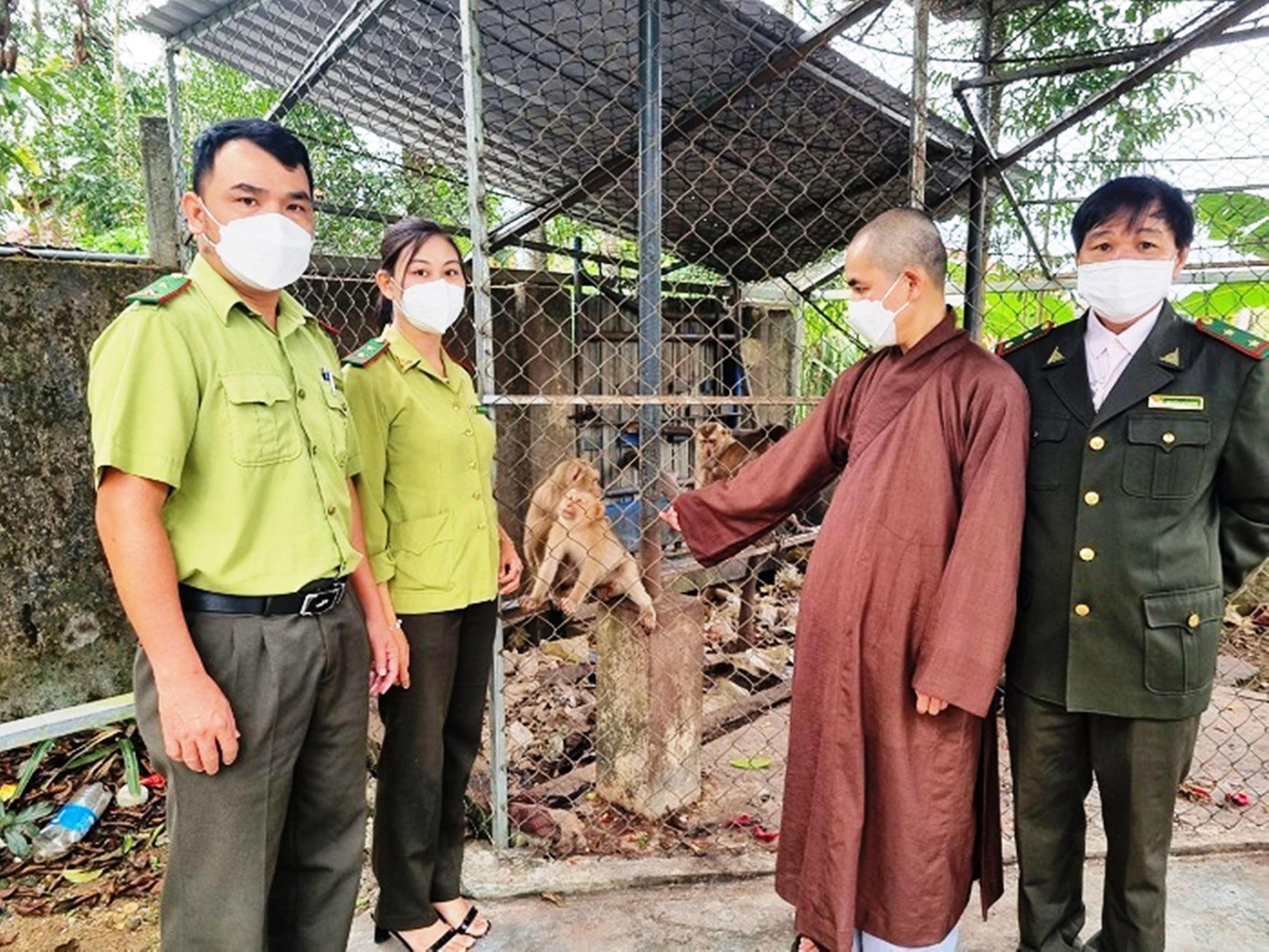 Nhà chùa bàn giao bầy khỉ do phật tử phóng sinh cho cơ quan kiểm lâm tiếp nhận, thả về rừng Nhà chùa bàn giao bầy khỉ do phật tử phóng sinh cho cơ quan kiểm lâm tiếp nhận, thả về rừng
