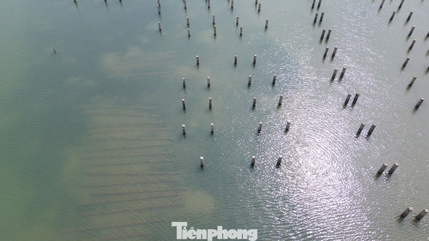 Sau khi dự án bị chấm dứt hoạt động, hệ lụy của quá trình đầu tư xây dựng nửa vời, dang dở là bãi cọc dài cả nghìn mét và những ngôi “nhà chồ” bằng bê tông cốt thép không được xử lý, tháo dỡ gây ảnh hưởng mỹ quan, môi trường, giao thông đường thủy trên đầm Lập An.