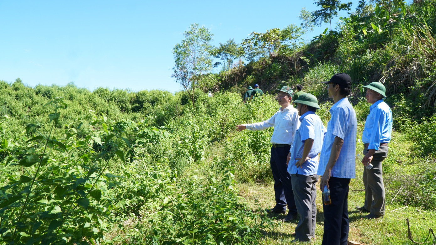 Vùng khai thác vàng trái phép trước đây tại xã Hồng Thủy có nơi cỏ cây đã lên xanh tốt, che phủ hết dấu vết đào múc đất cũ.