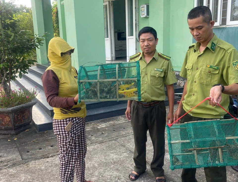 Lực lượng kiểm lâm TP. Huế phát hiện, xử lý trường hợp bán chim hoang dã dùng làm vật phóng sinh cạnh chùa Từ Đàm, Huế.