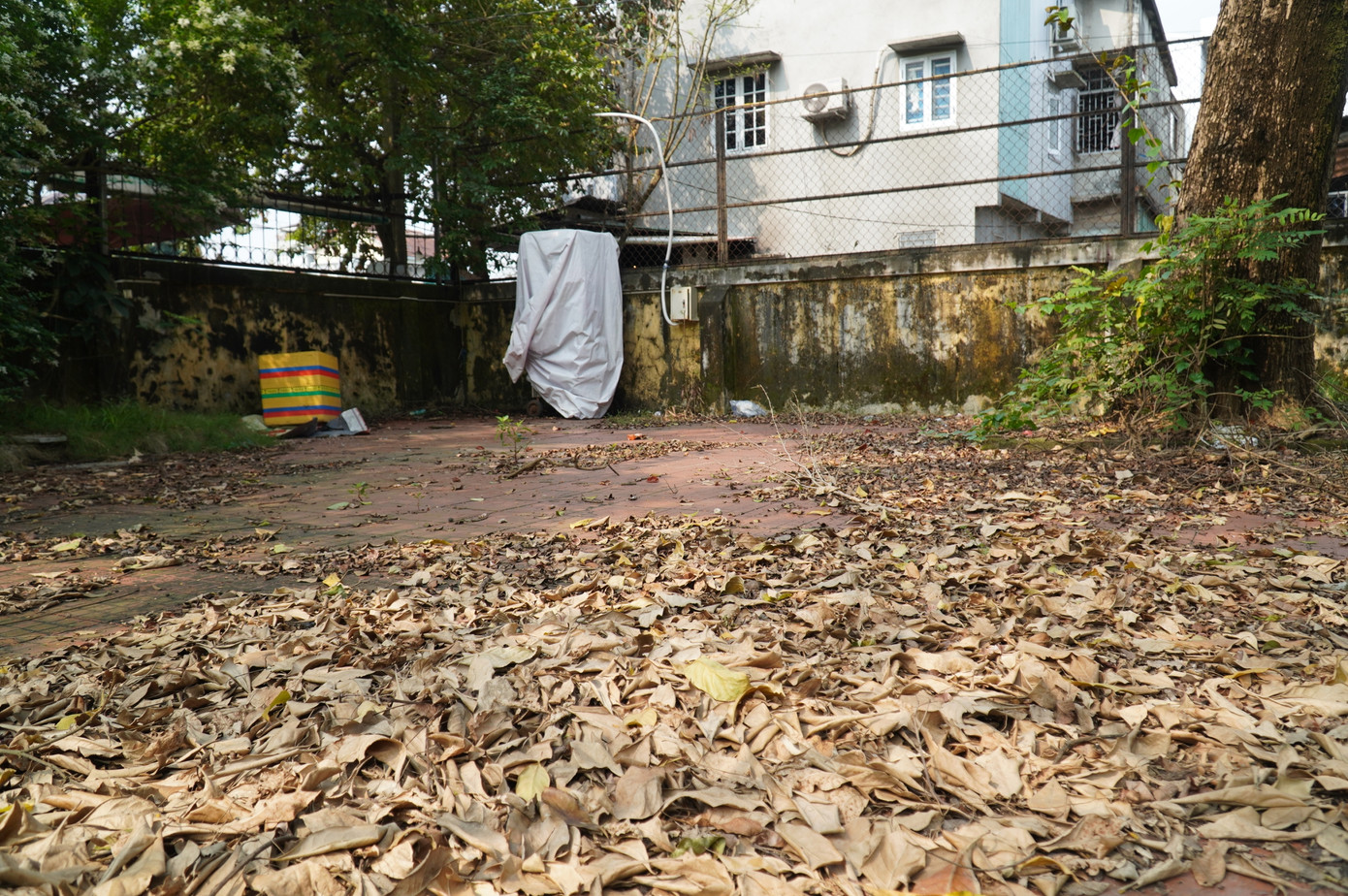 Nền móng của điểm kinh doanh cà phê sân vườn thuộc tòa nhà 145 Phan Đình Phùng ngập trong lá khô, rác và cỏ dại.