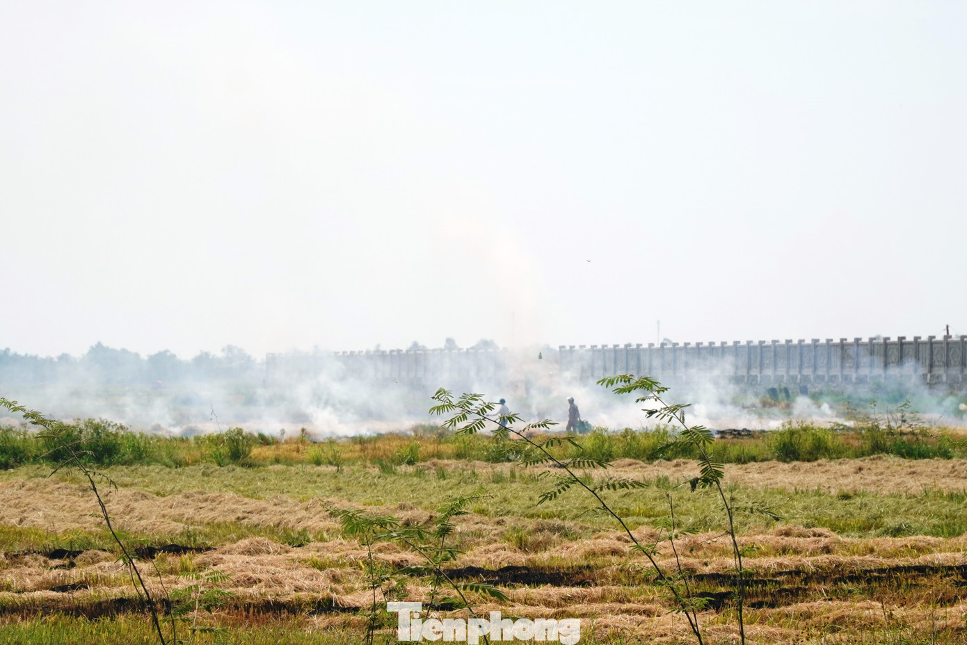 Để xử lý tình trạng đốt đồng, lãnh đạo chính quyền nhiều phường, xã như An Đông, Thủy Vân, Hương Chữ… đã cắt cử lực lượng theo dõi, túc trực và sẵn sàng dập lửa khi có đám cháy. Lãnh đạo thị xã Hương Thủy cũng đích thân về kiểm tra tại nhiều cánh đồng của địa phương. Để xử lý tình trạng đốt đồng, lãnh đạo chính quyền nhiều phường, xã như An Đông, Thủy Vân, Hương Chữ… đã cắt cử lực lượng theo dõi, túc trực và sẵn sàng dập lửa khi có đám cháy. Lãnh đạo thị xã Hương Thủy cũng đích thân về kiểm tra tại nhiều cánh đồng của địa phương.