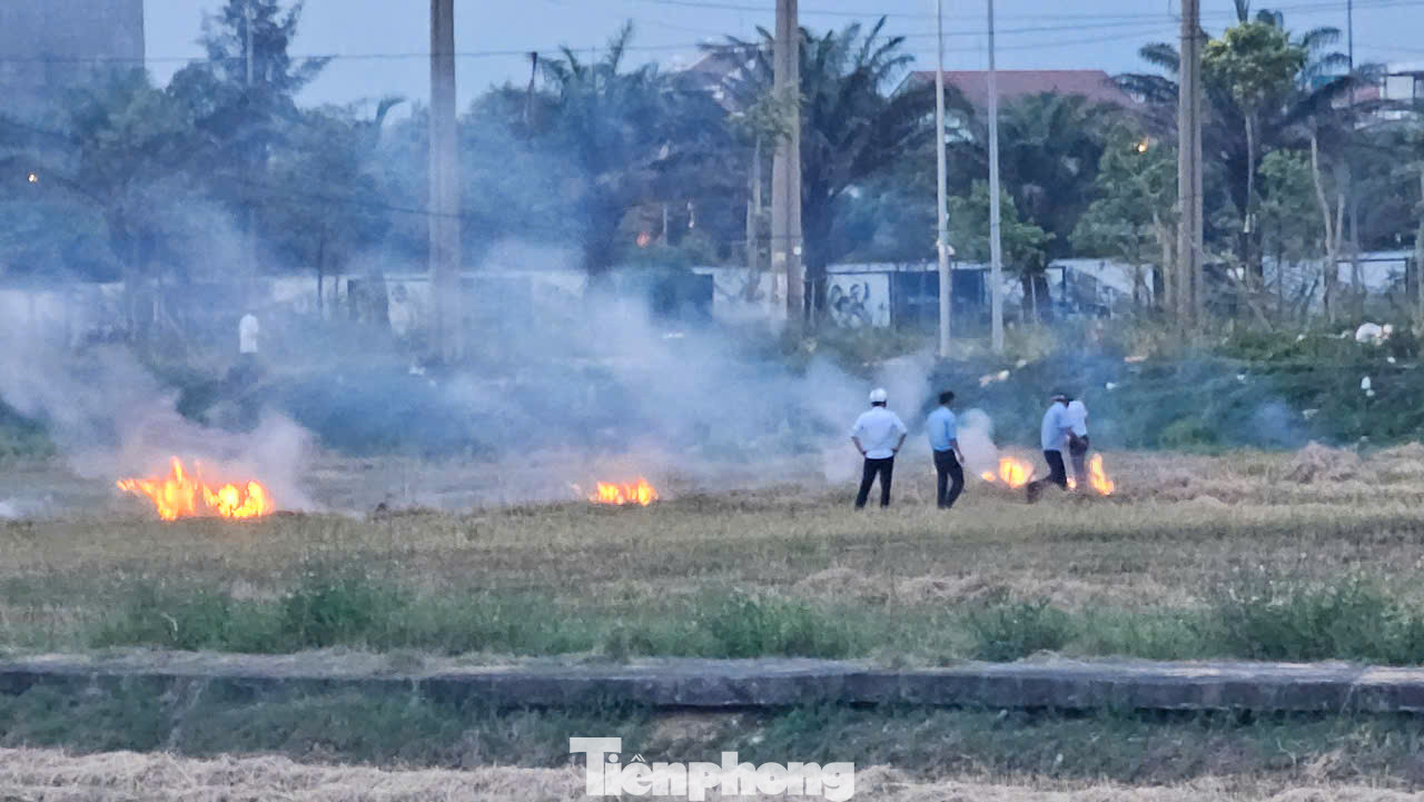 Để xử lý tình trạng đốt đồng, lãnh đạo chính quyền nhiều phường, xã như An Đông, Thủy Vân, Hương Chữ… đã cắt cử lực lượng theo dõi, túc trực và sẵn sàng dập lửa khi có đám cháy. Lãnh đạo thị xã Hương Thủy cũng đích thân về kiểm tra tại nhiều cánh đồng của địa phương. Để xử lý tình trạng đốt đồng, lãnh đạo chính quyền nhiều phường, xã như An Đông, Thủy Vân, Hương Chữ… đã cắt cử lực lượng theo dõi, túc trực và sẵn sàng dập lửa khi có đám cháy. Lãnh đạo thị xã Hương Thủy cũng đích thân về kiểm tra tại nhiều cánh đồng của địa phương.