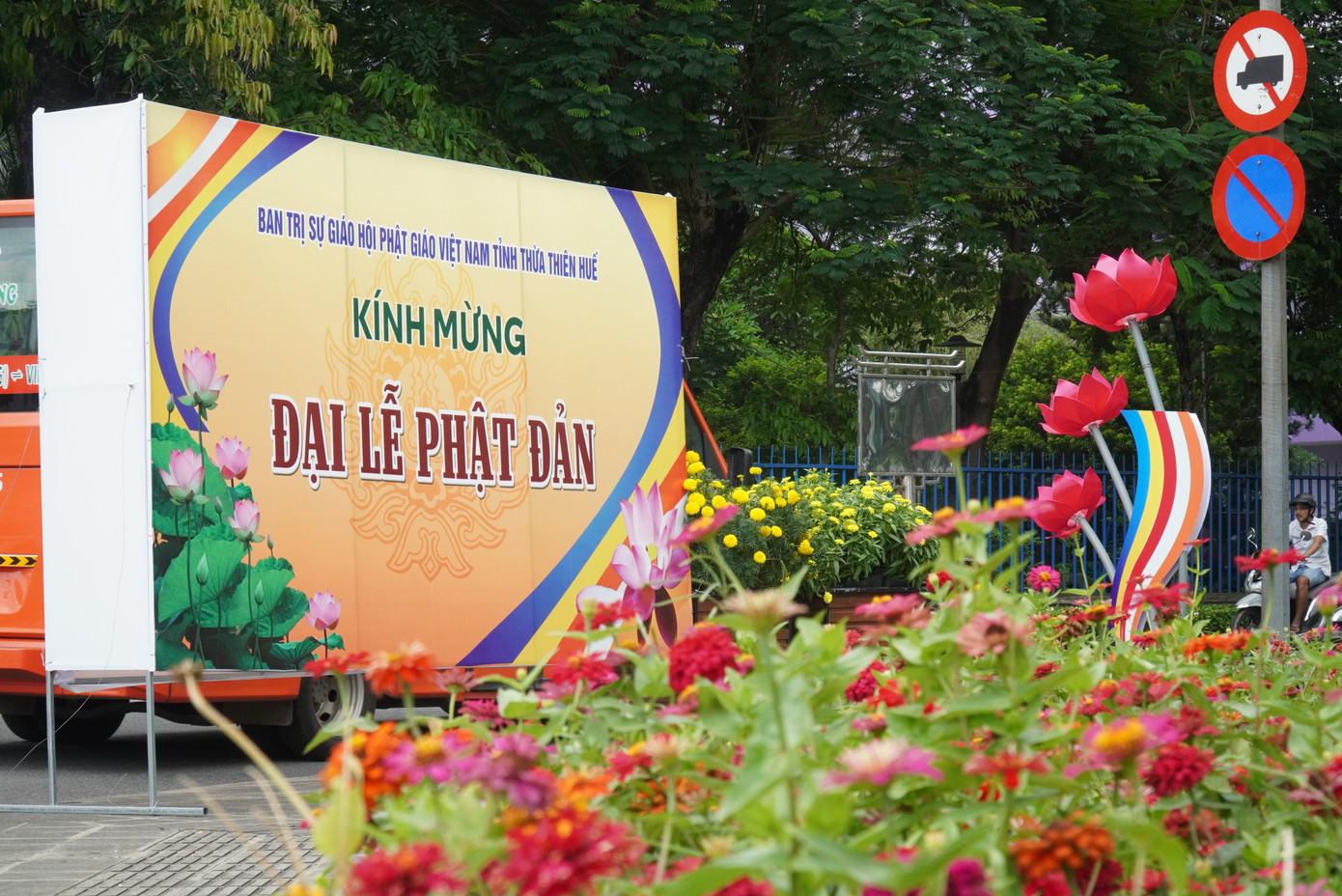 Trên các trục đường chính của TP. Huế, BTC Đại lễ Phật đản PL 2568 tỉnh TT-Huế đã cho thiết trí nhiều cụm hoa sen màu đỏ tím lạ tinh tế, bắt mắt.