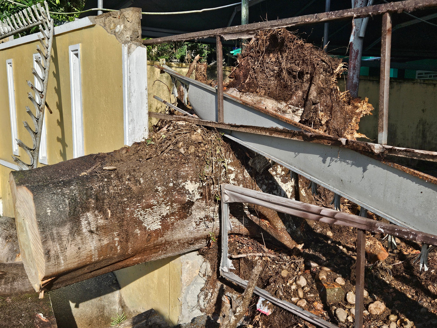 Rào chắn tạm thời đoạn tường bao bị sập, cây xanh đổ ngã đã được dọn dẹp. Rào chắn tạm thời đoạn tường bao bị sập, cây xanh đổ ngã đã được dọn dẹp.